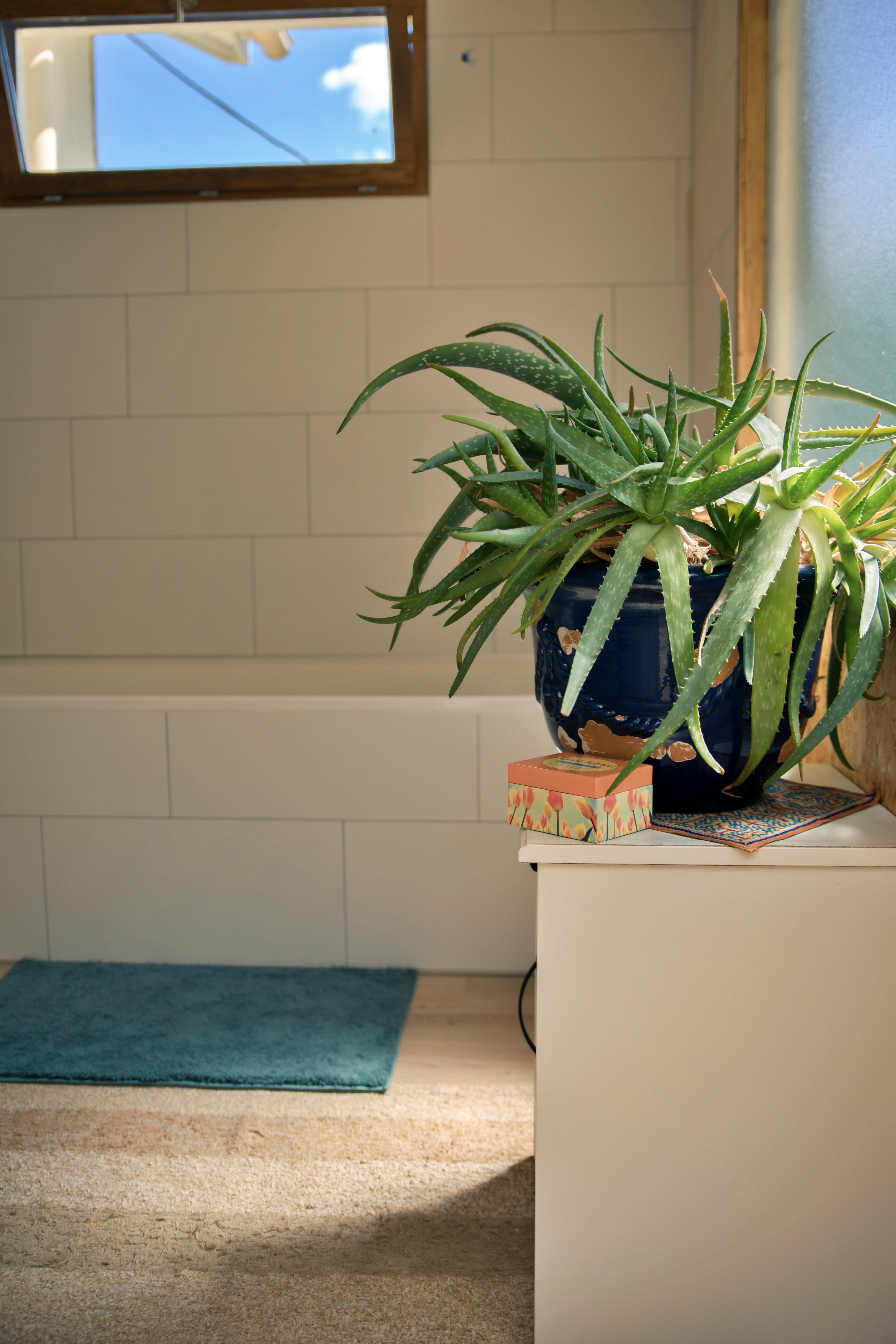 Nature house in Limoux