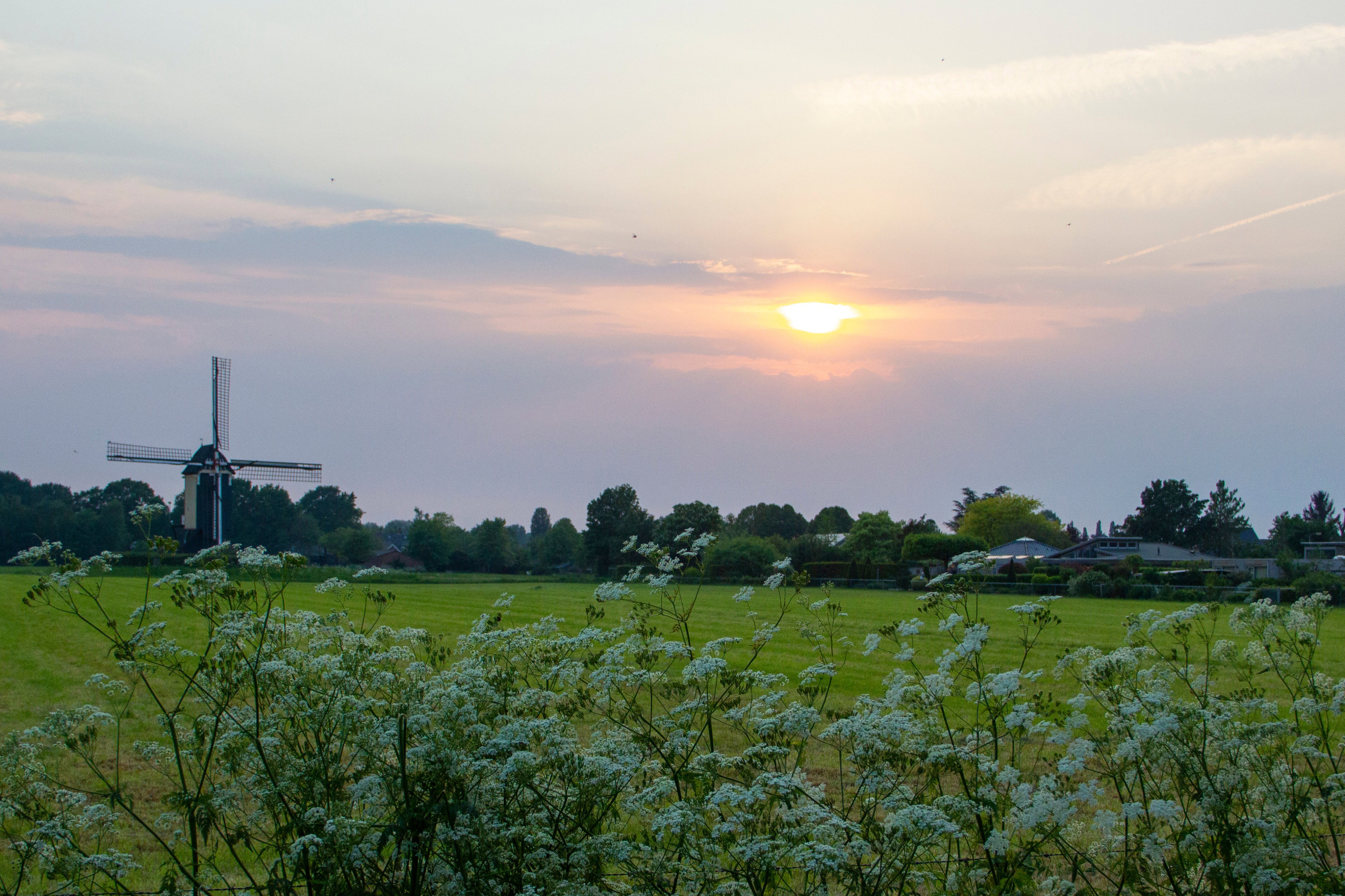 Naturhäuschen in Overasselt