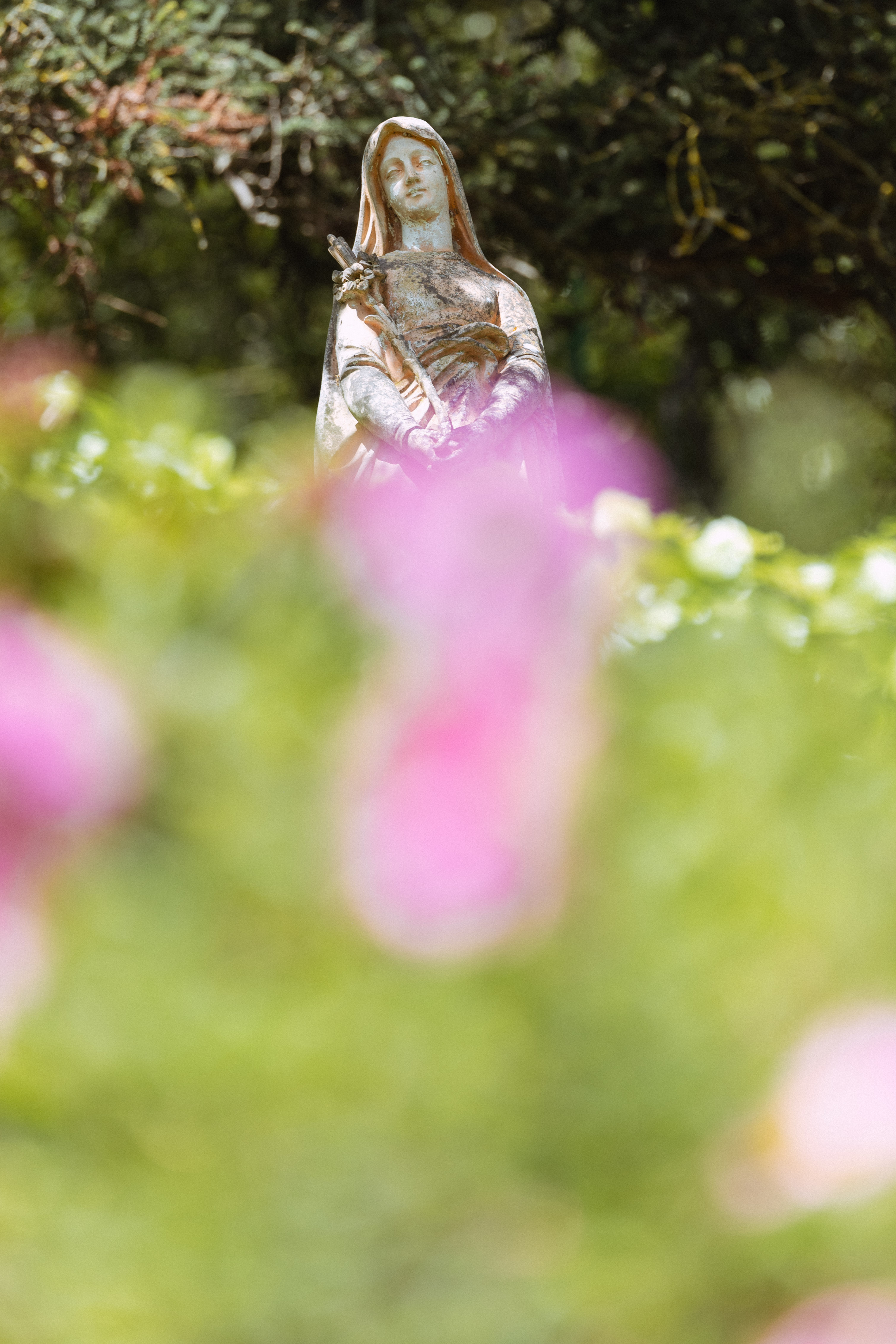 Nature house in Limoux