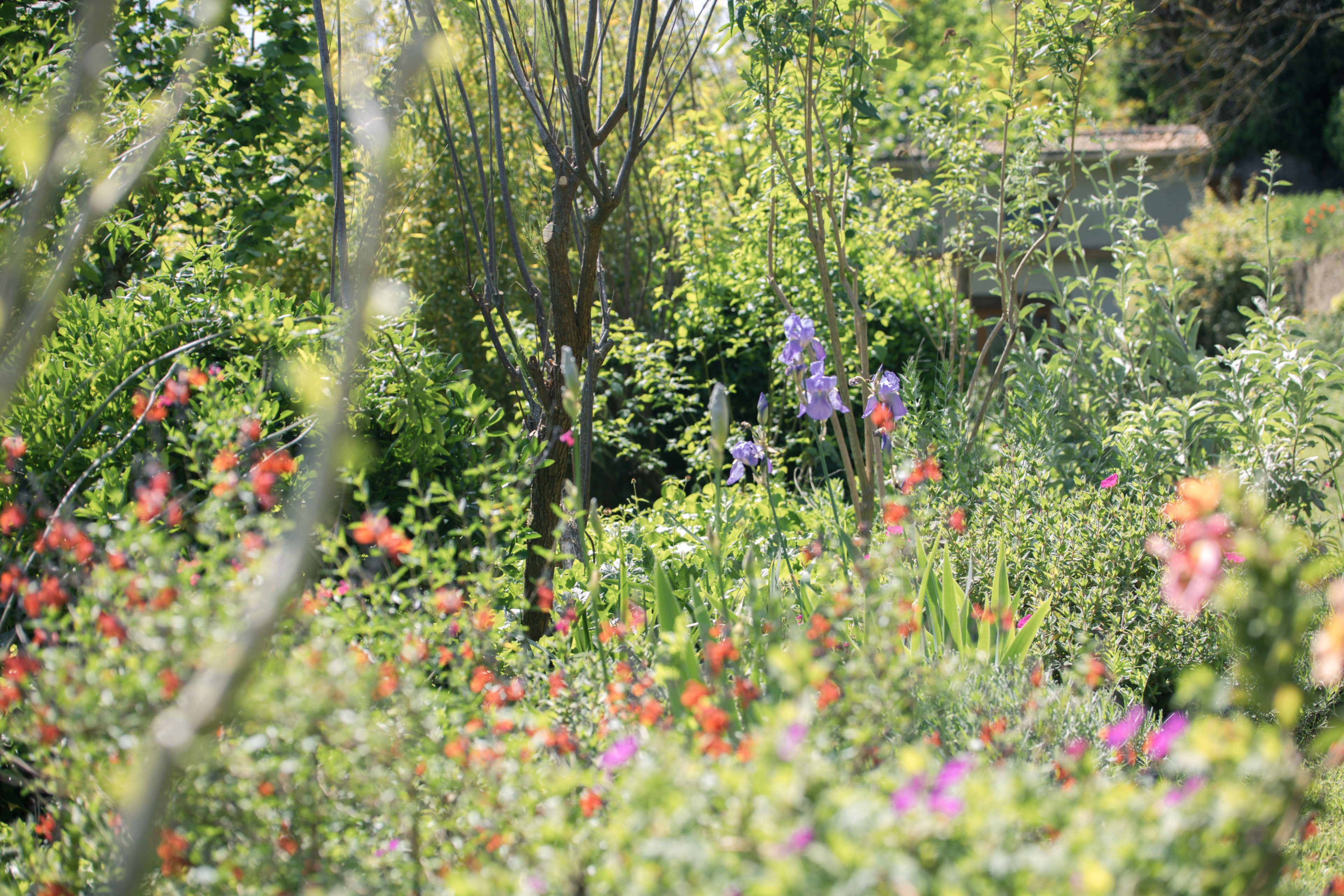 Nature house in Limoux