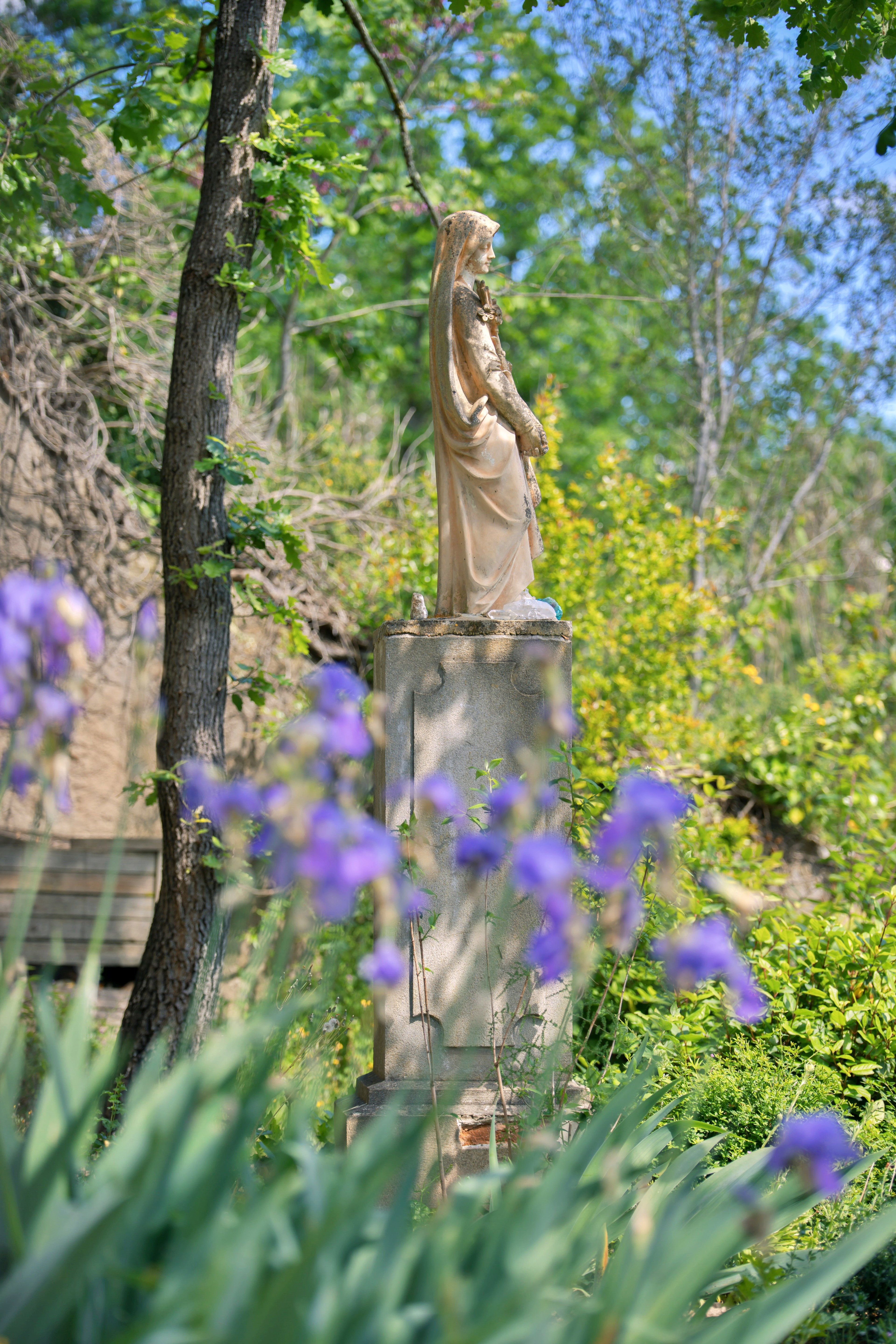 Nature house in Limoux