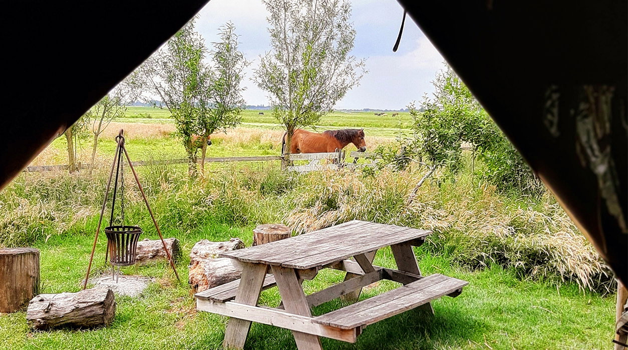 Natuurhuisje in Aarlanderveen