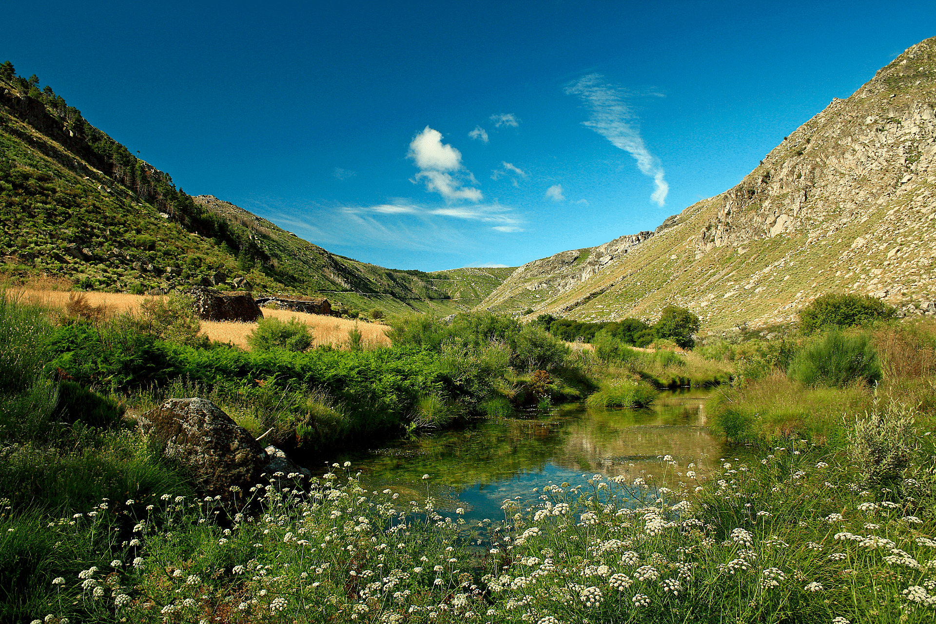 - image: 24