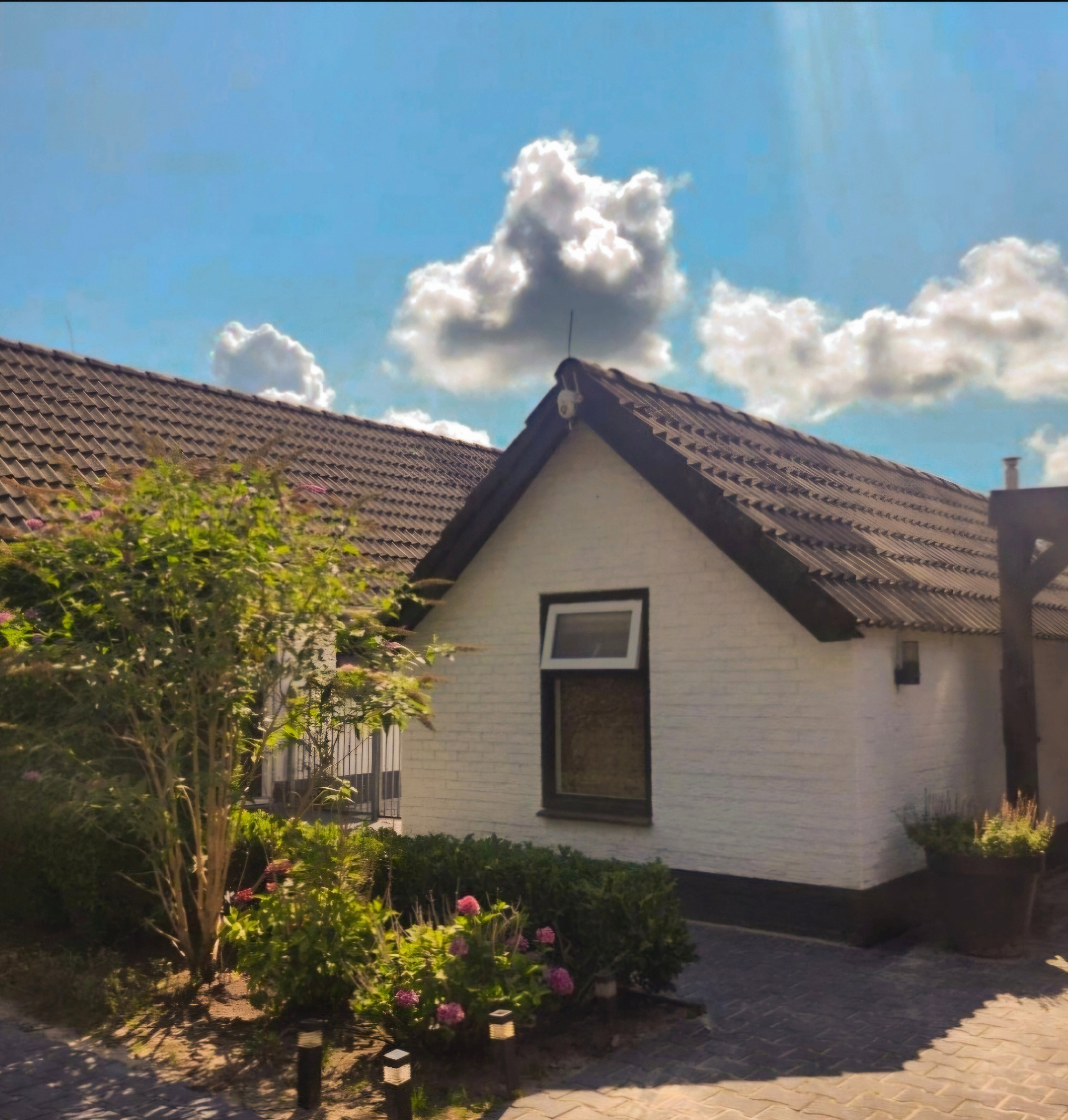 Natuurhuisje in Gasselte