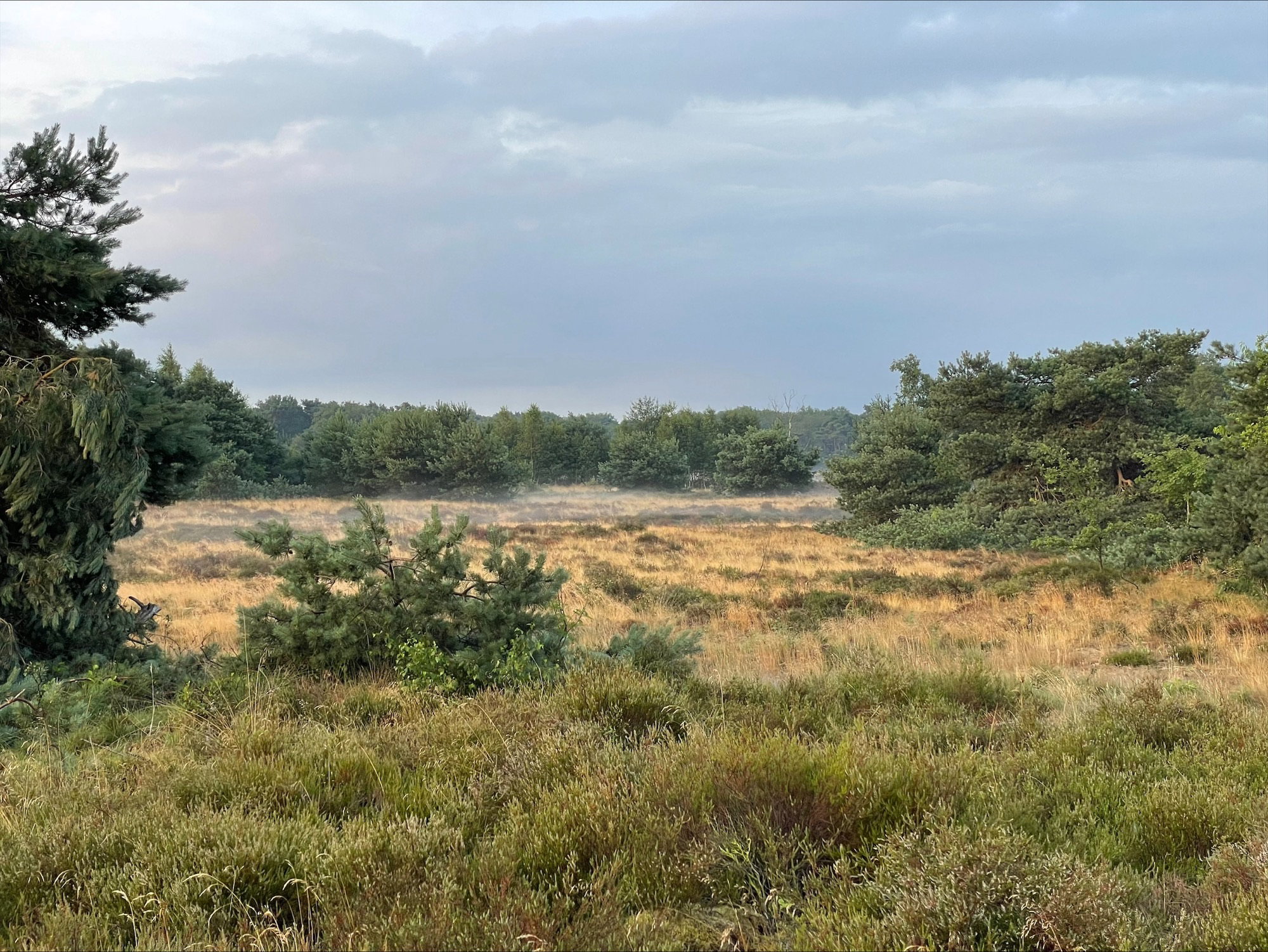Naturhäuschen in Dwingeloo
