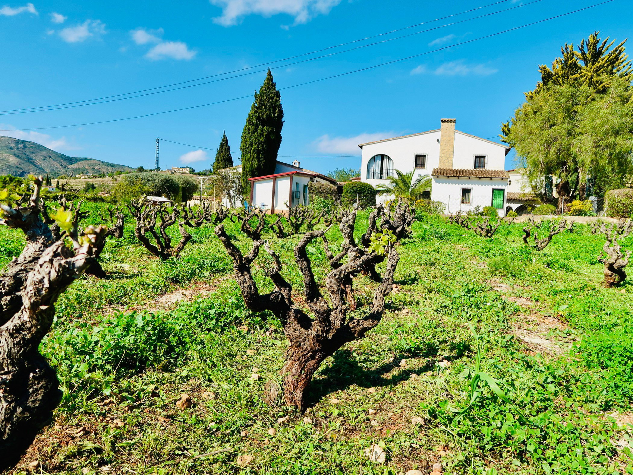 Casa nella natura a Lliber