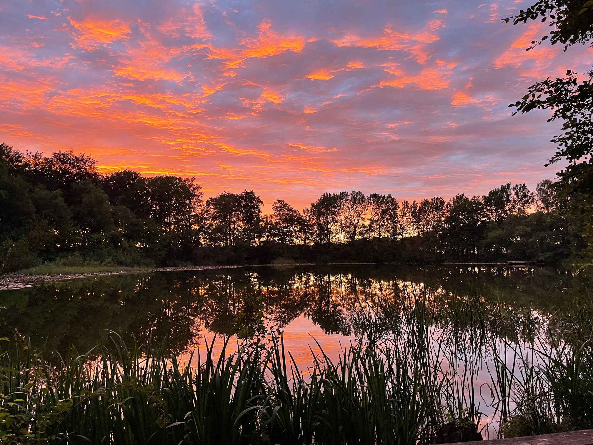 Natuurhuisje in Papenvoort