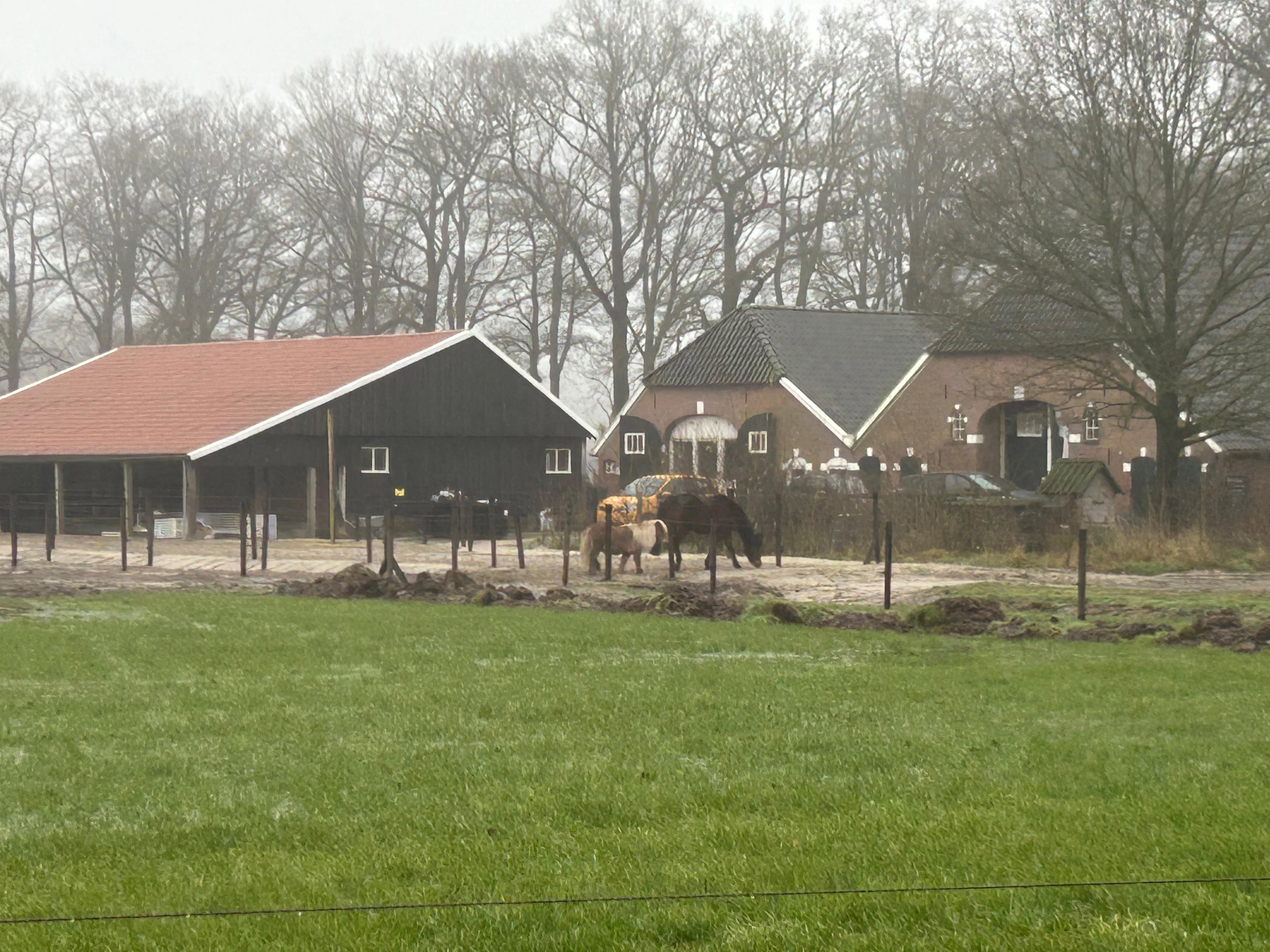 Nature house in Lochem
