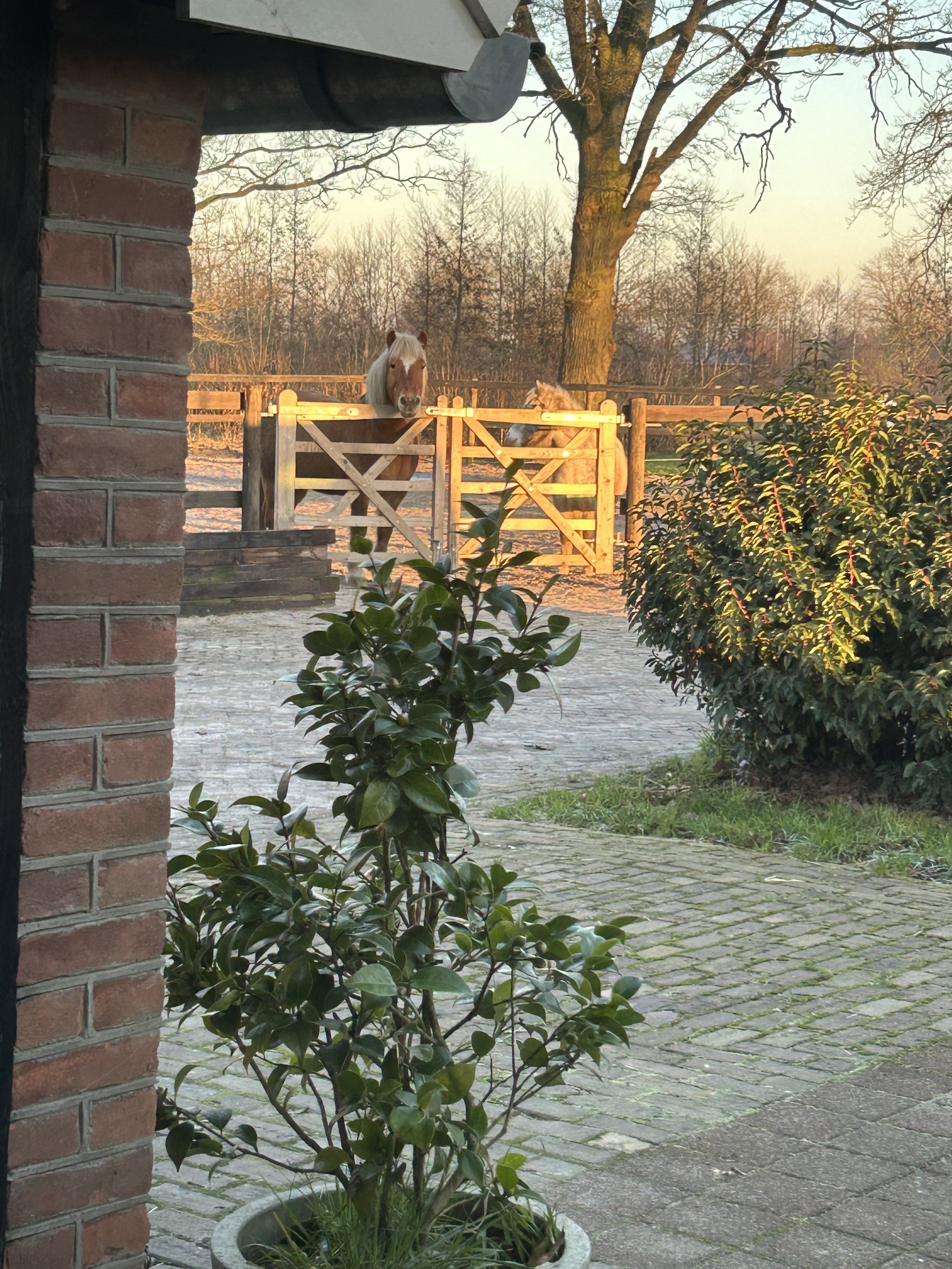 Natuurhuisje in Lochem