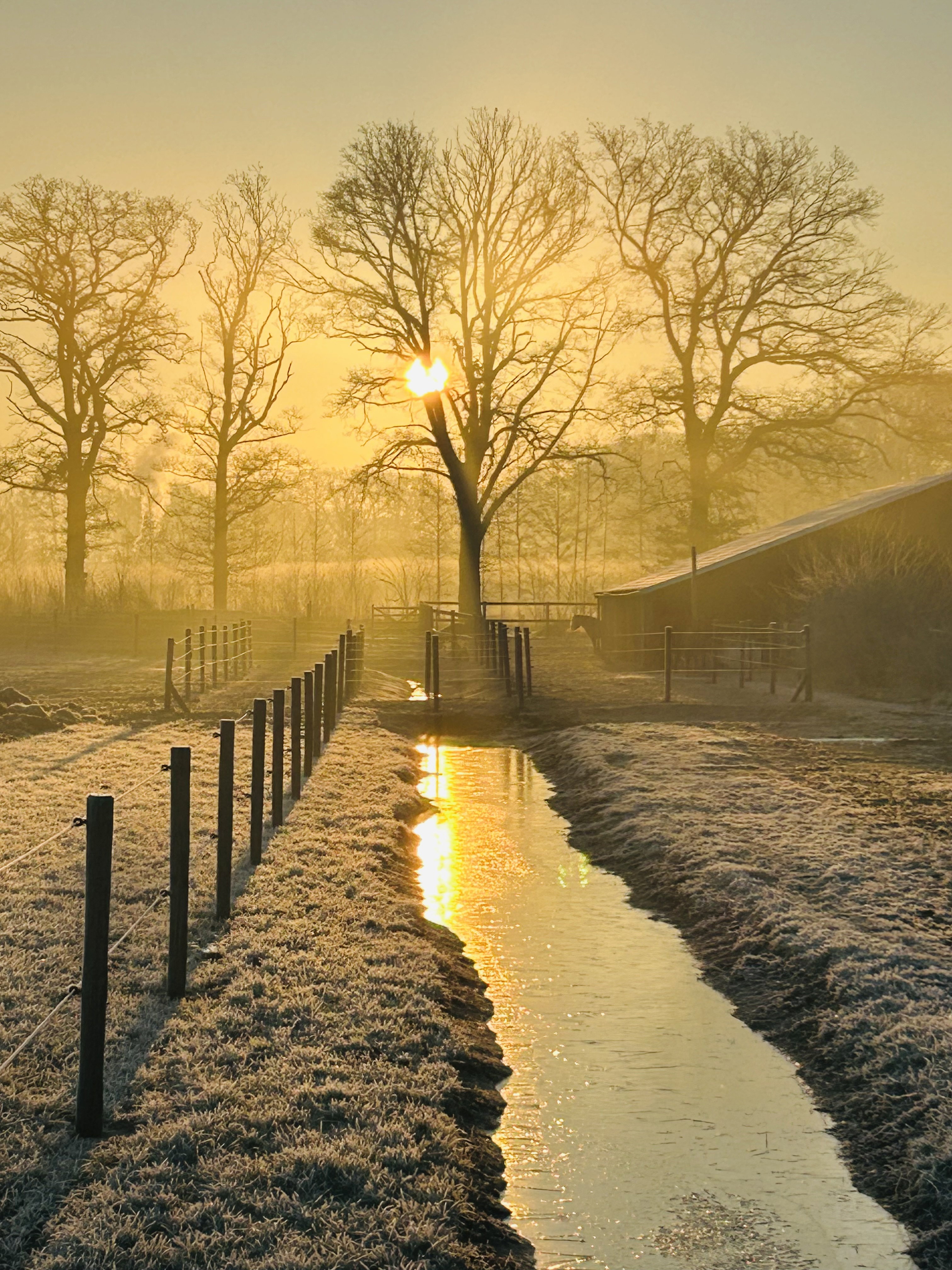 Natuurhuisje in Lochem