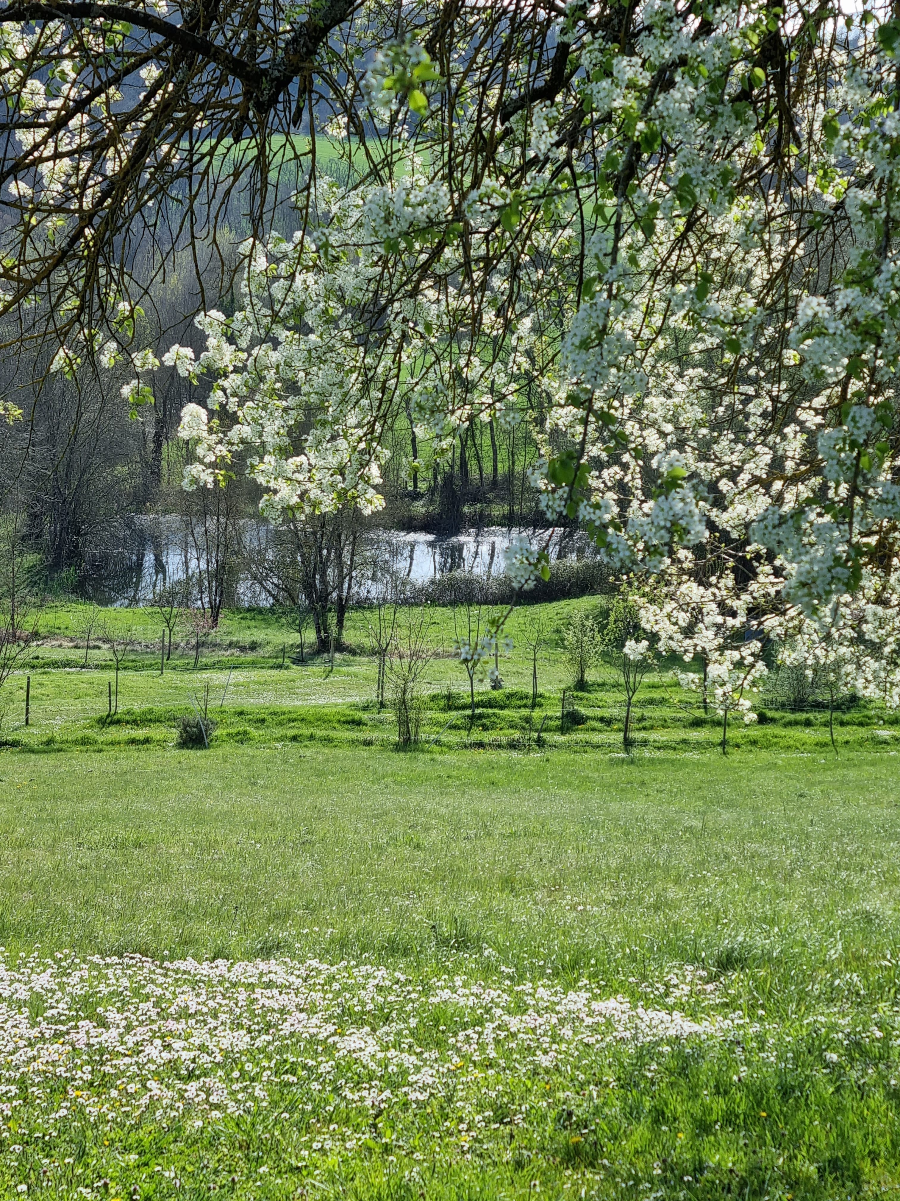 Naturhäuschen in Castelnau-Montratier-Sainte-Alauzie