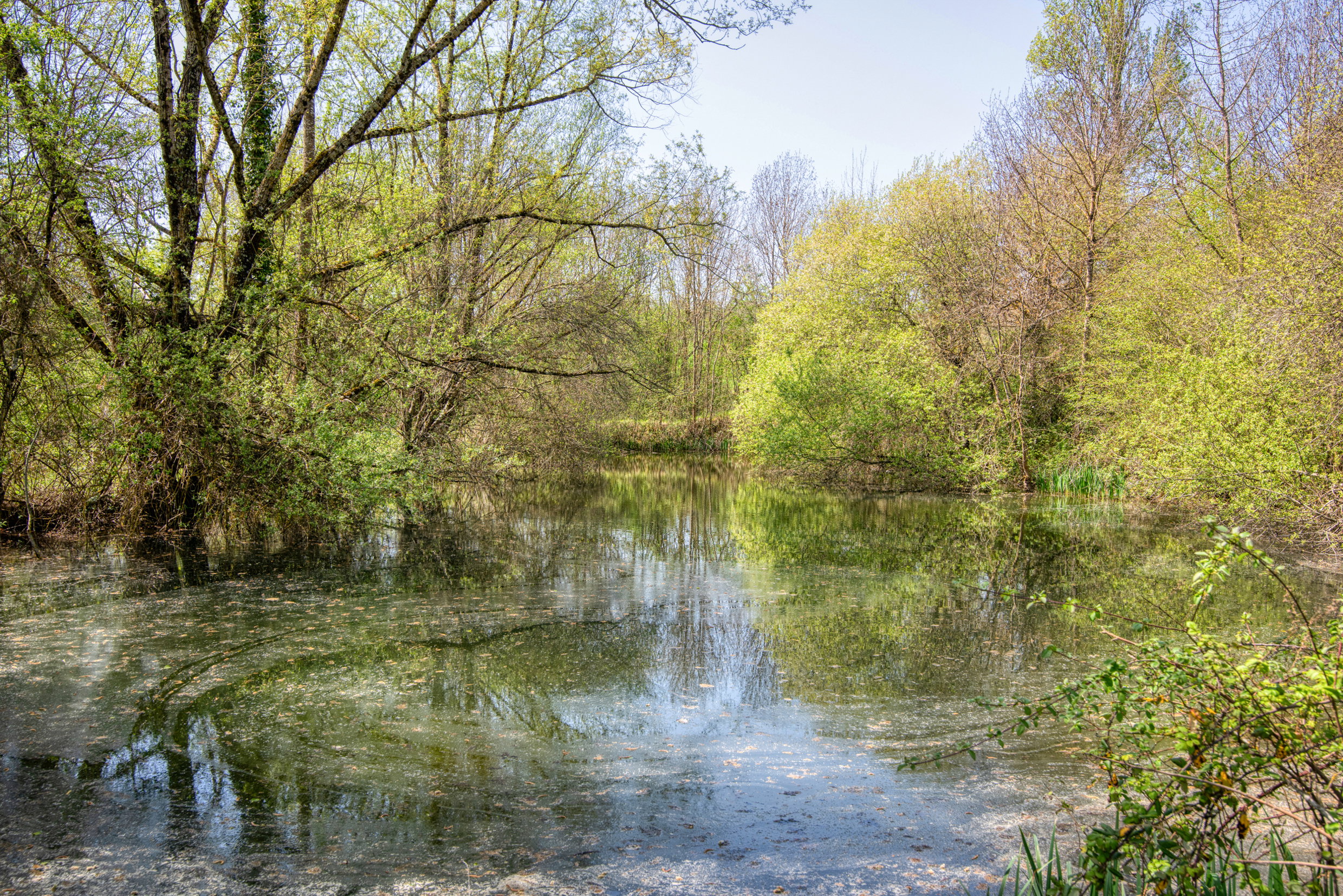 Naturhäuschen in Castelnau-Montratier-Sainte-Alauzie