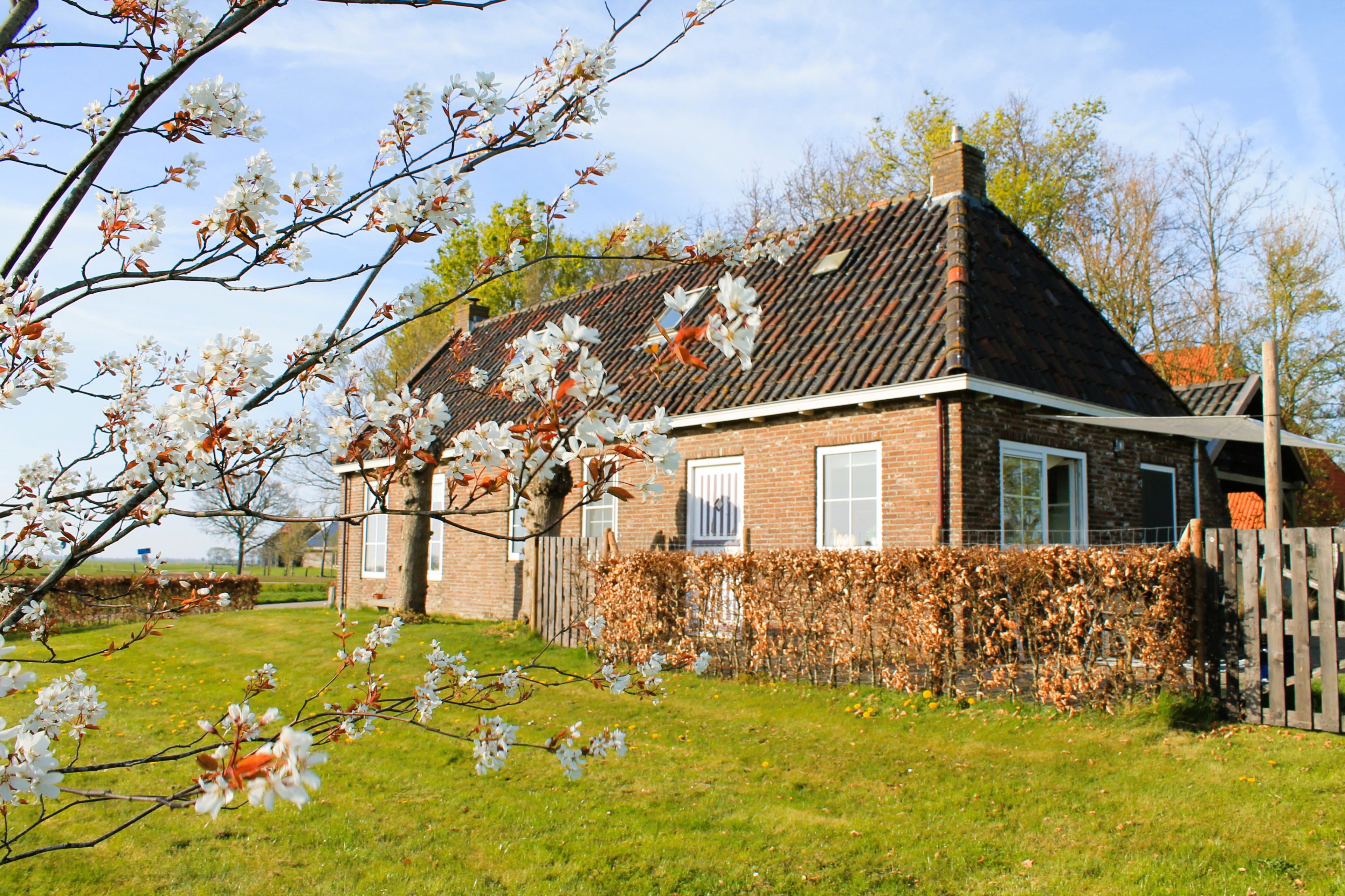 Naturhäuschen in Tjerkgaast