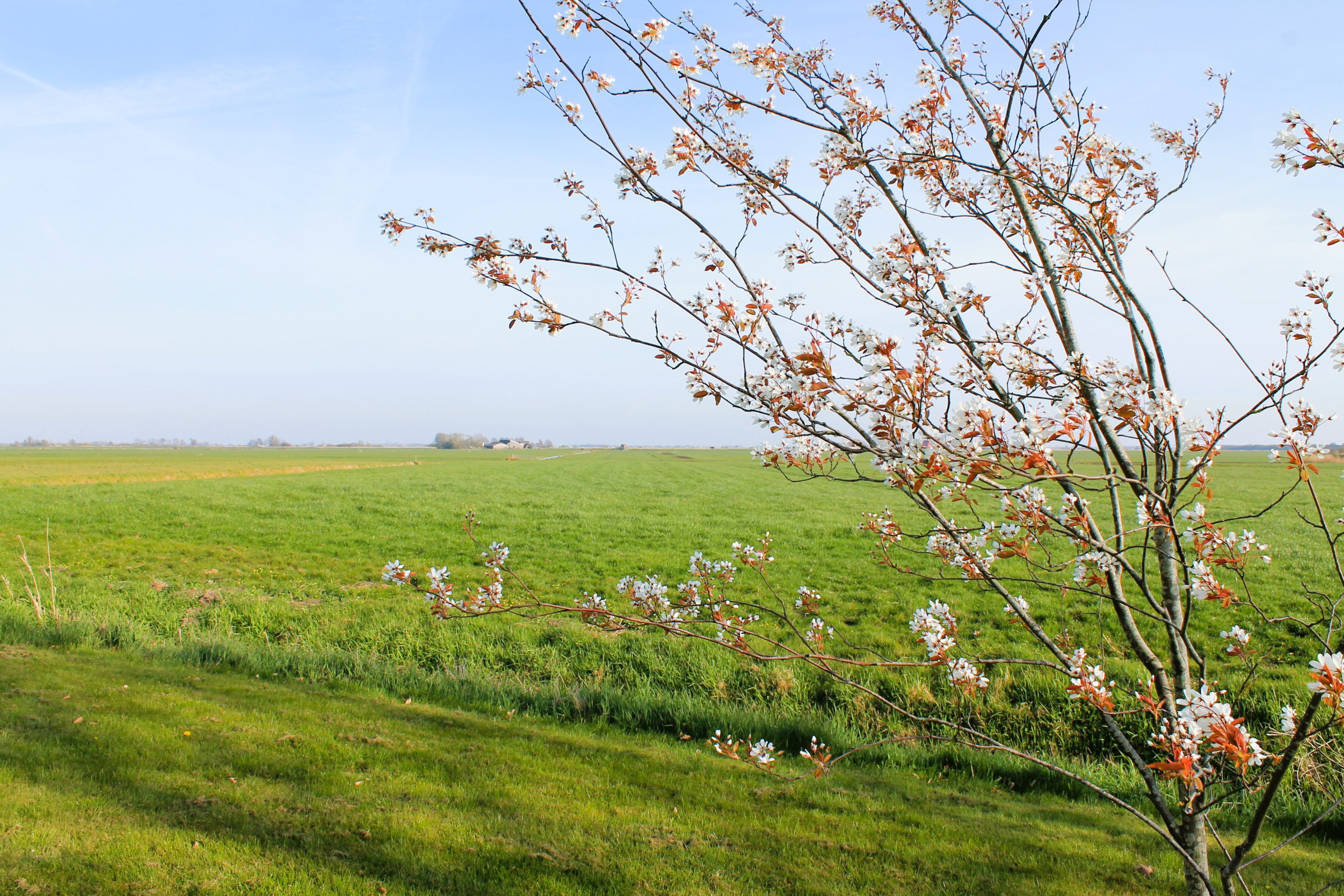 Naturhäuschen in Tjerkgaast
