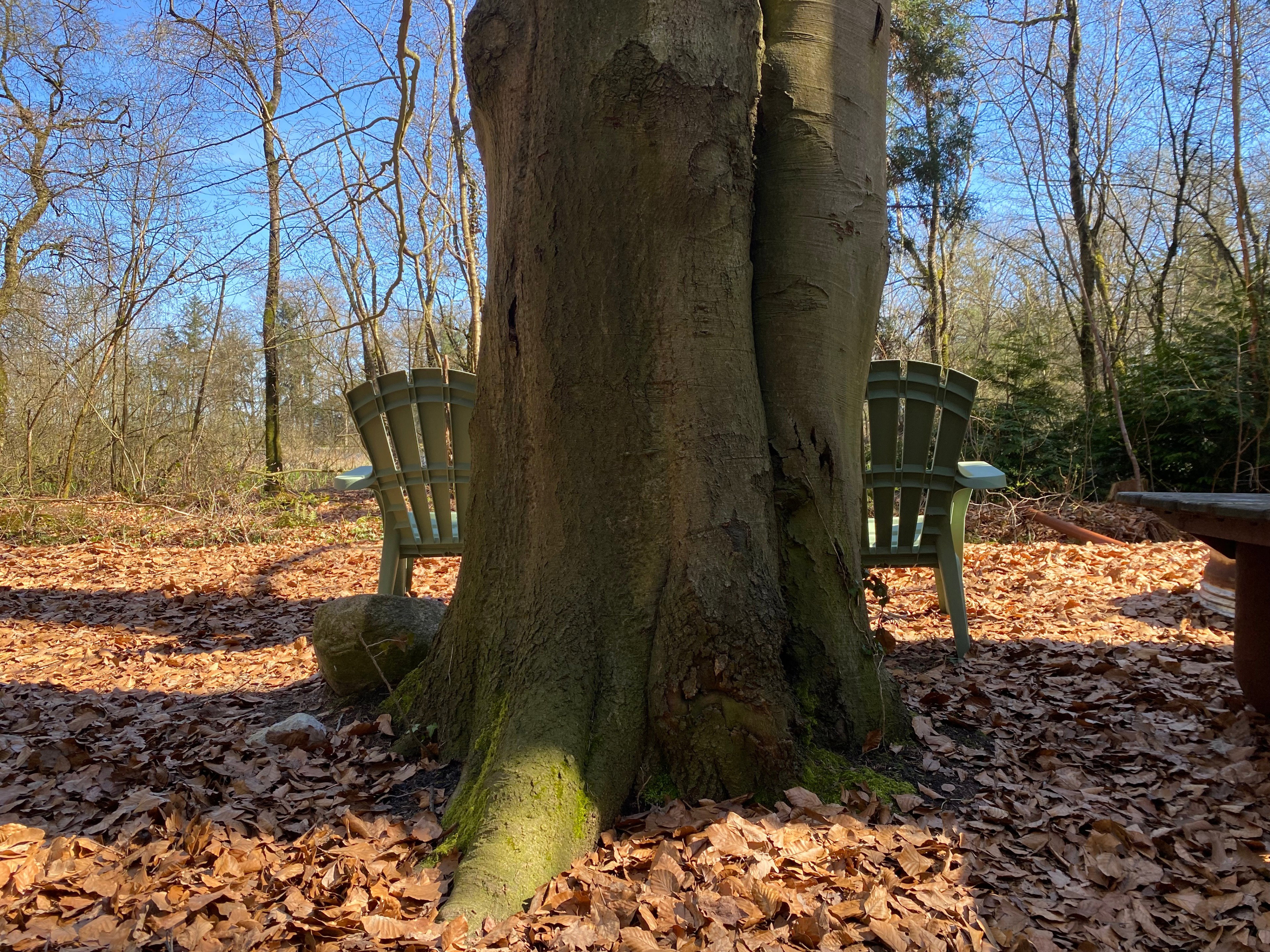 Natuurhuisje in Papenvoort