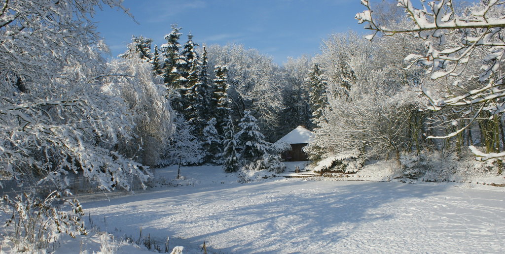 - image: 12