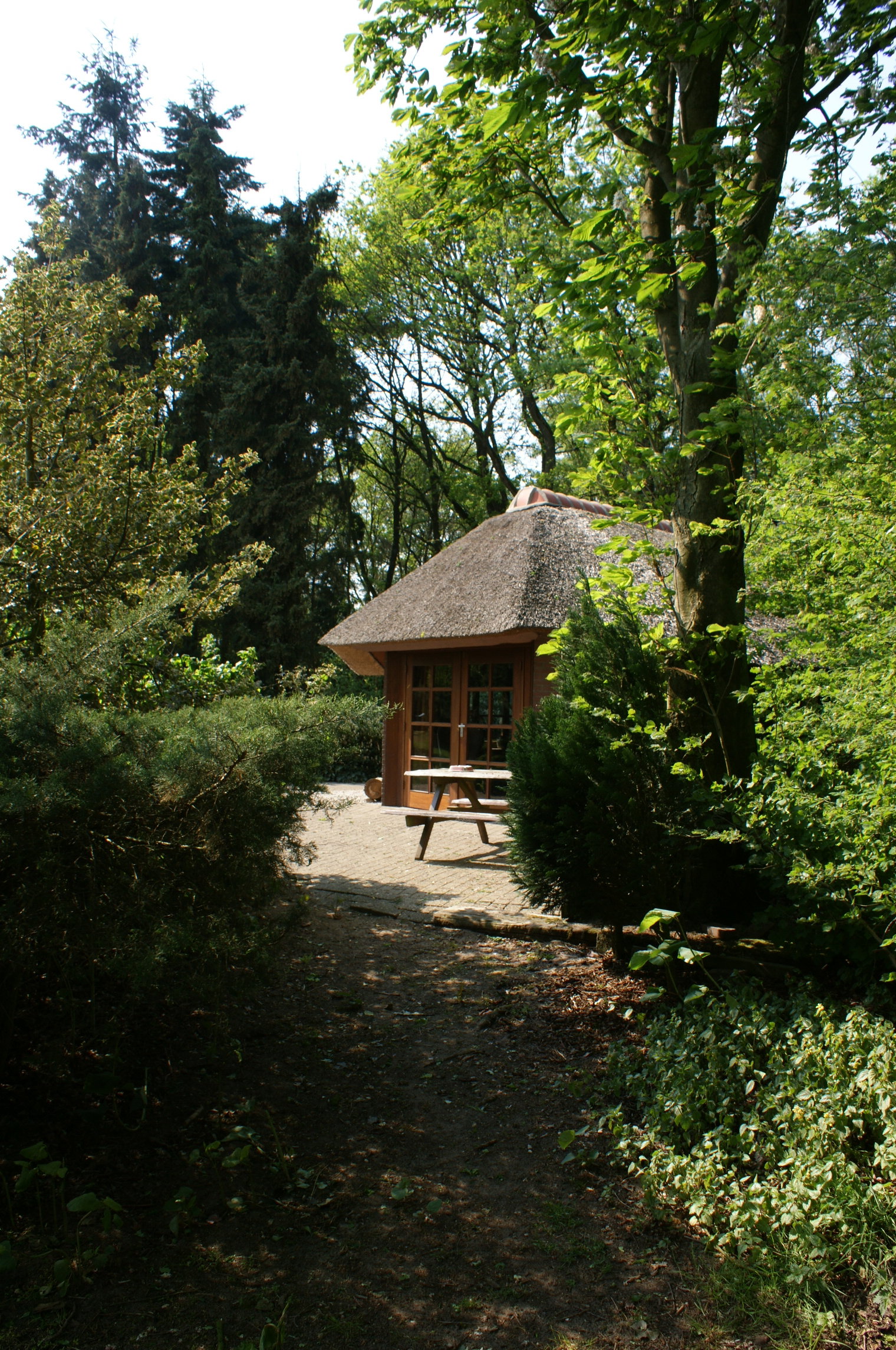 - image: 11