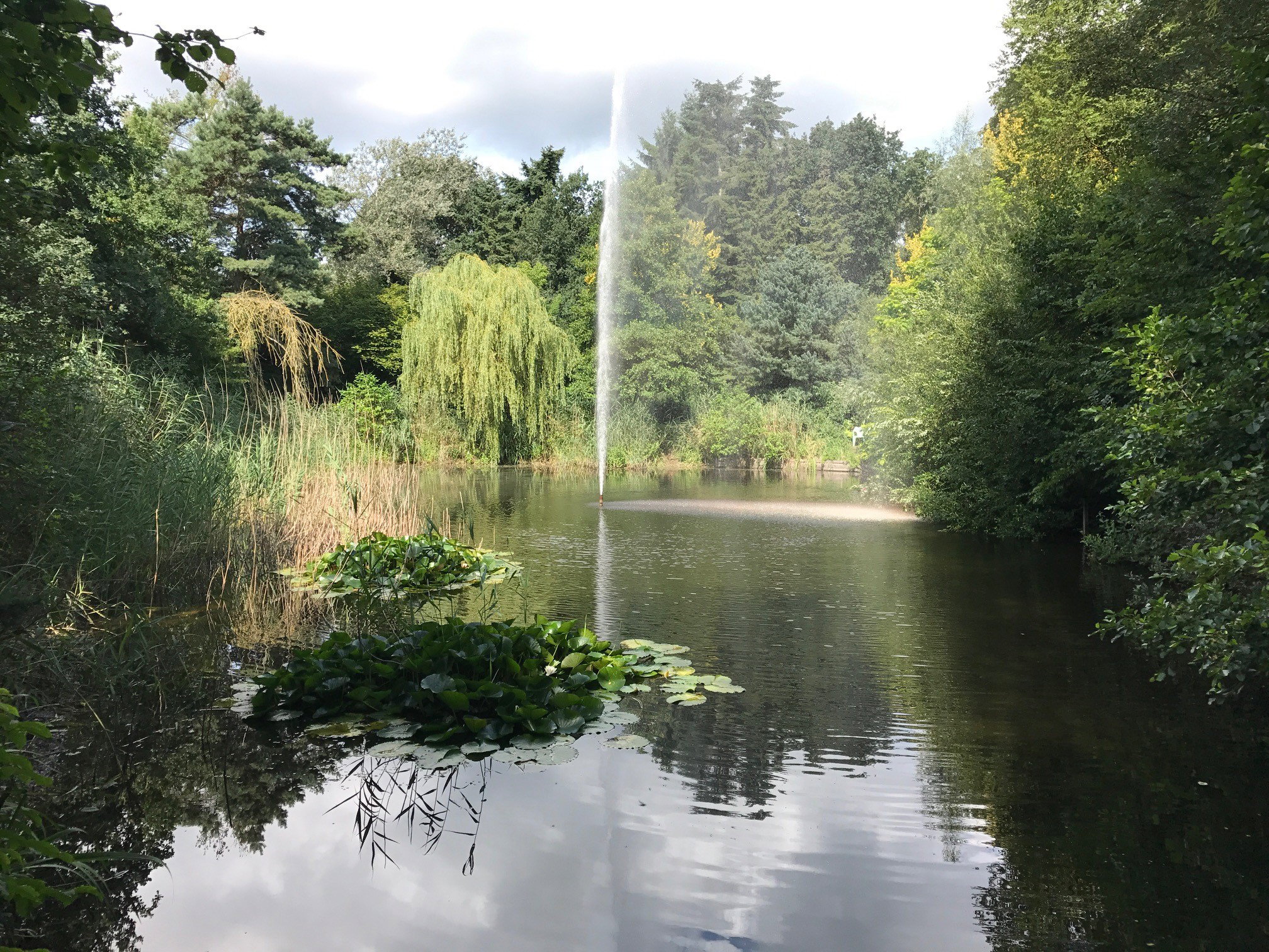 Nature house in Otterlo