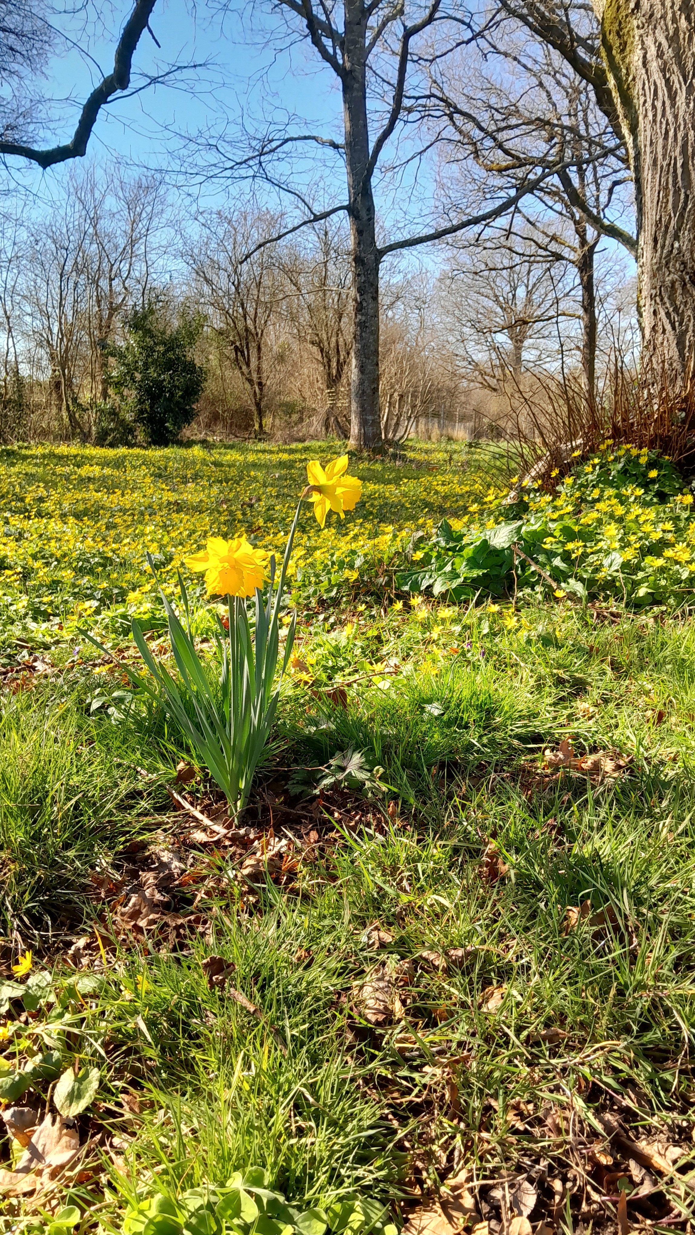 Natuurhuisje in Lignac