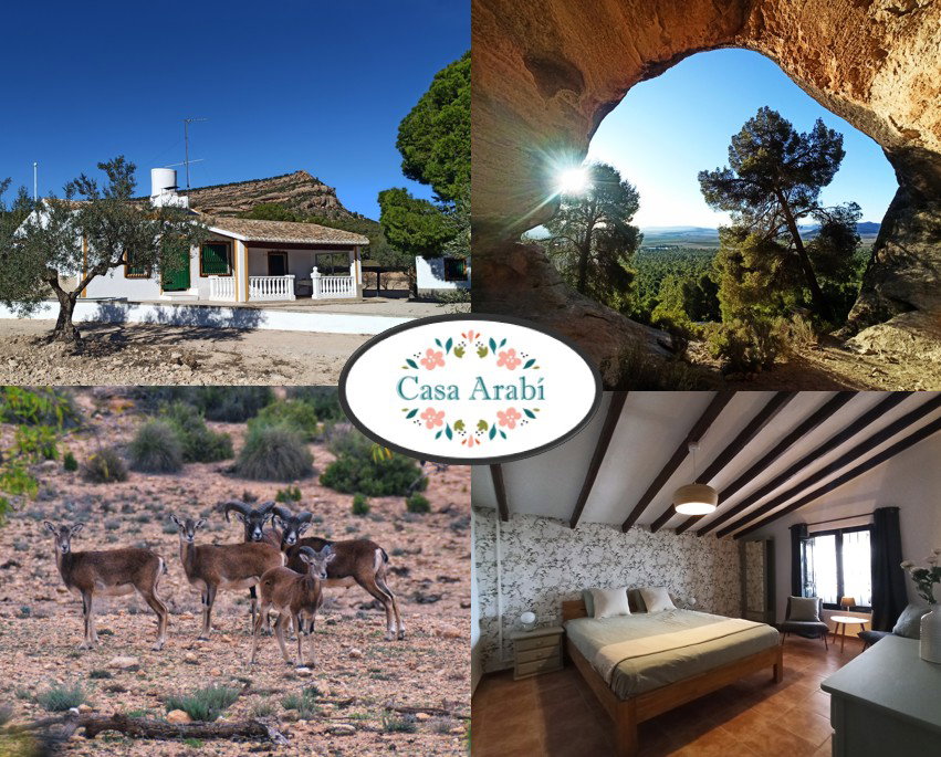 Maison nature à Yecla