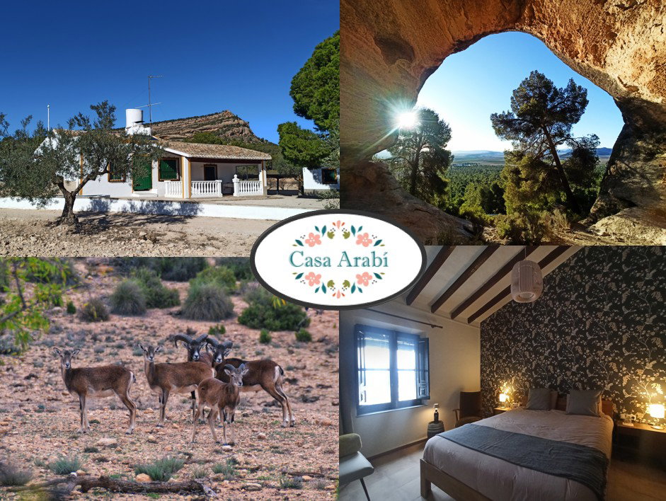 Maison nature à Yecla