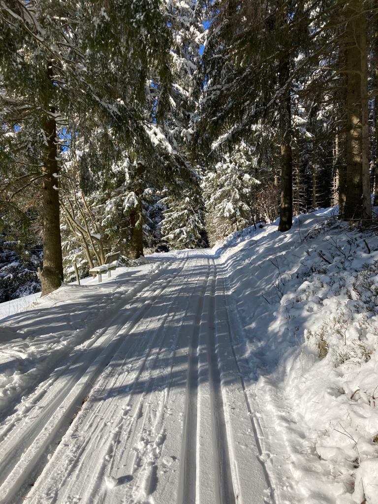 Natuurhuisje in Willingen Schwalefeld