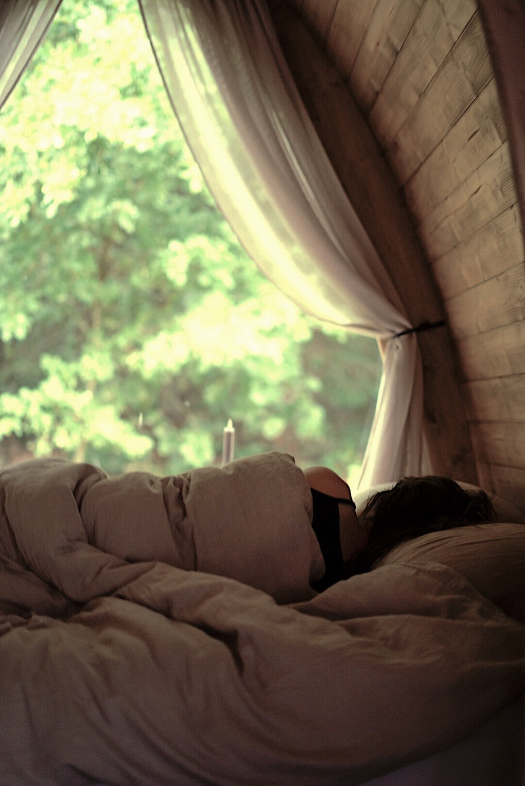 - image: 12