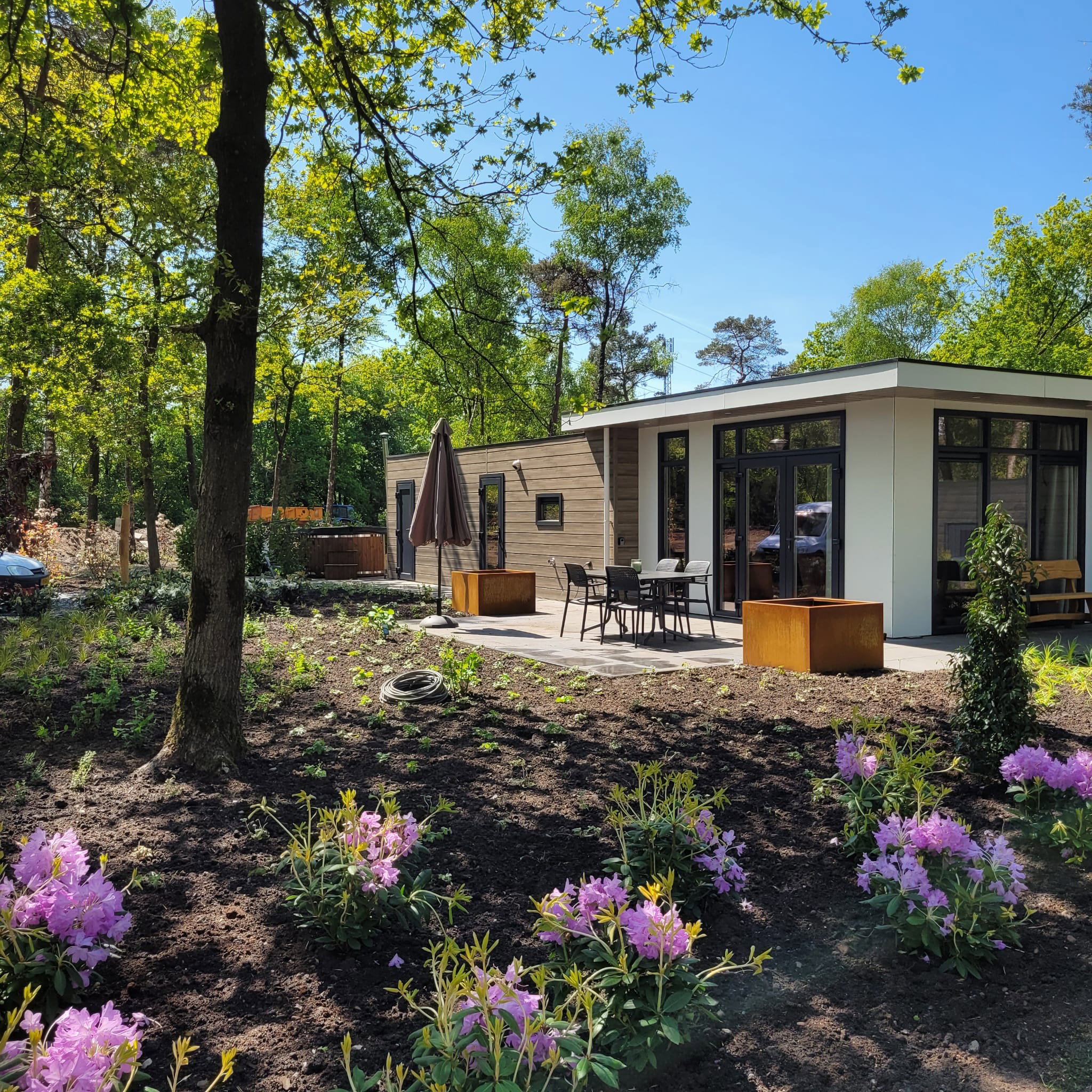Casa nella natura a Haarle