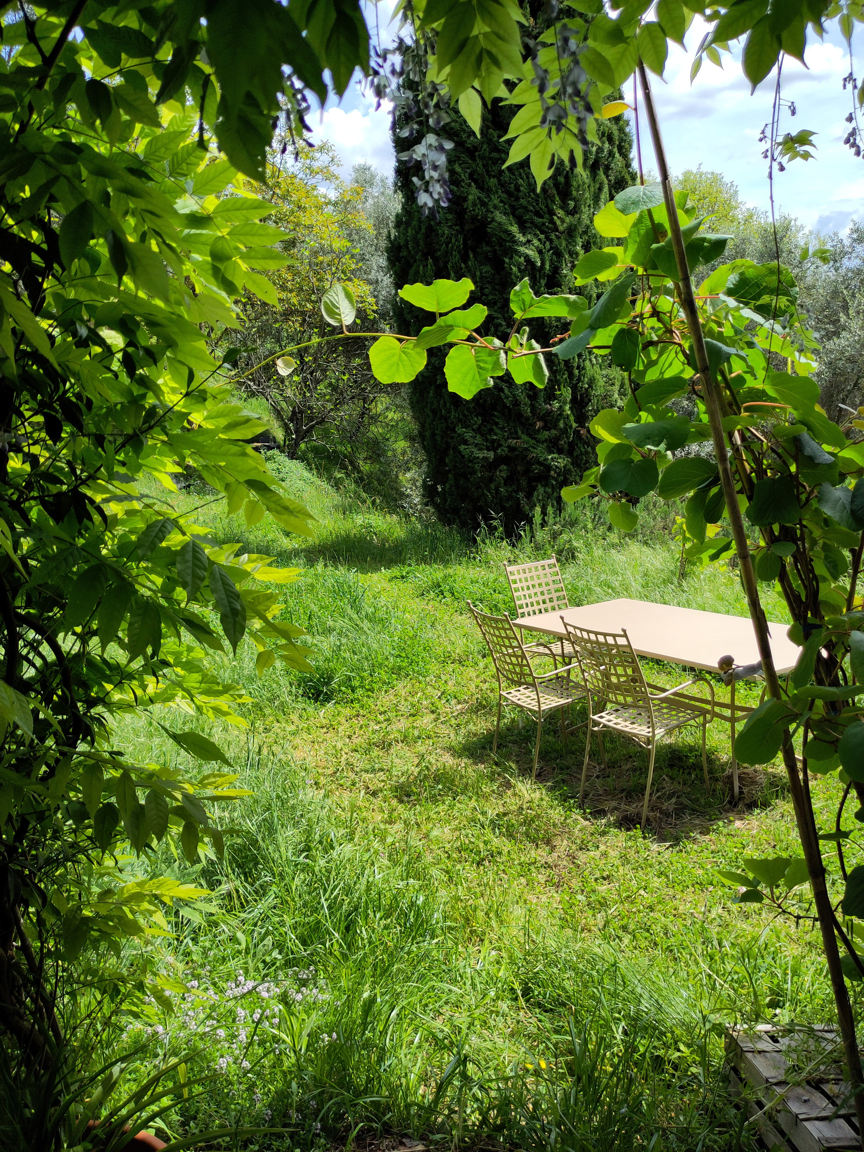 Natuurhuisje in Lucca