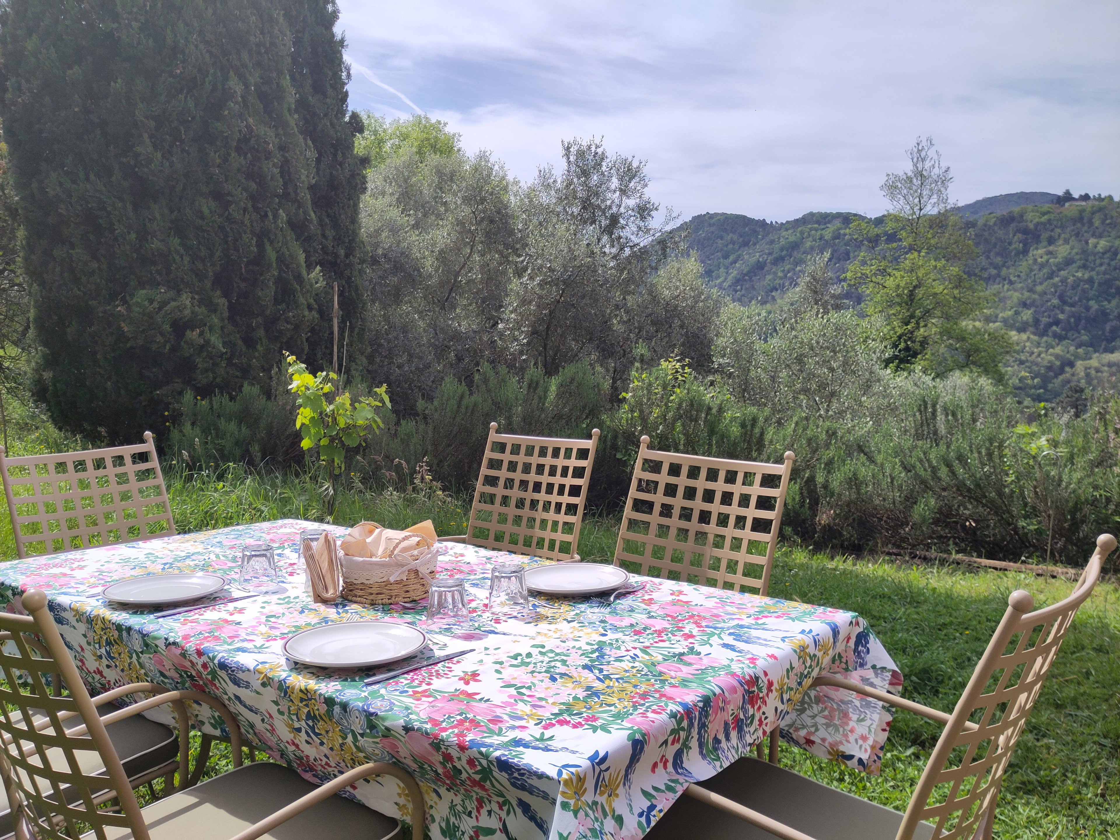 Natuurhuisje in Lucca