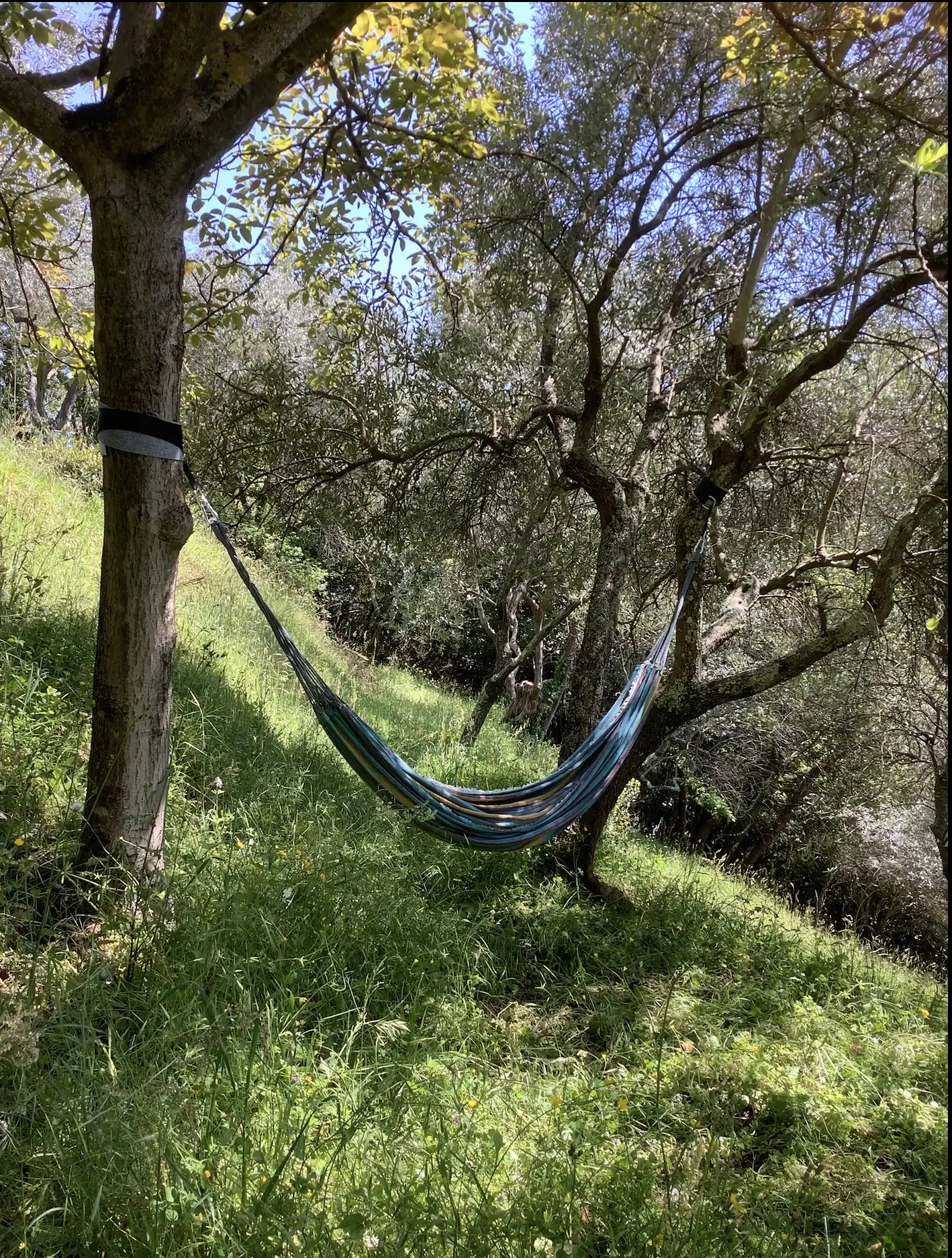 Natuurhuisje in Lucca