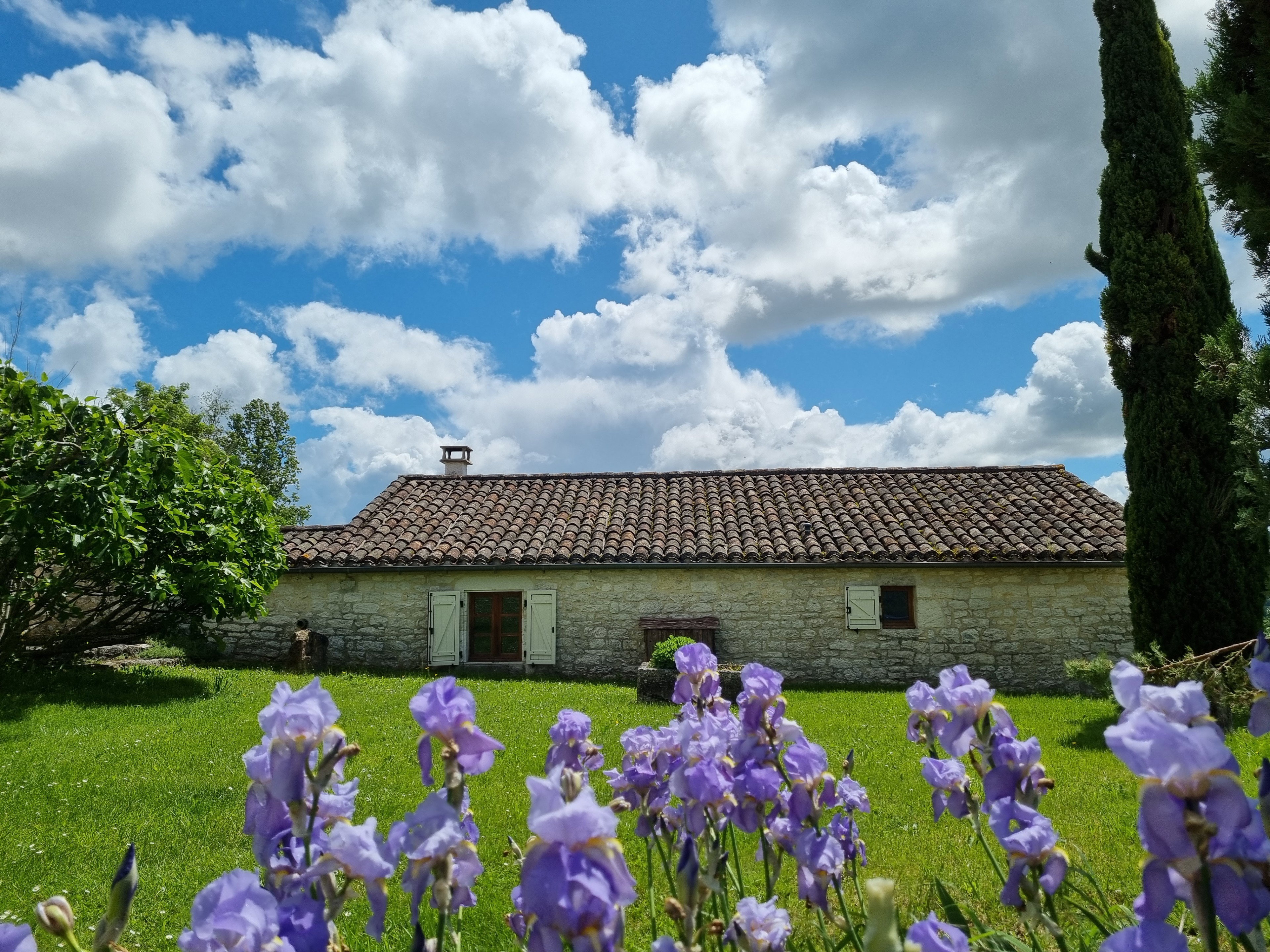 - image: 27