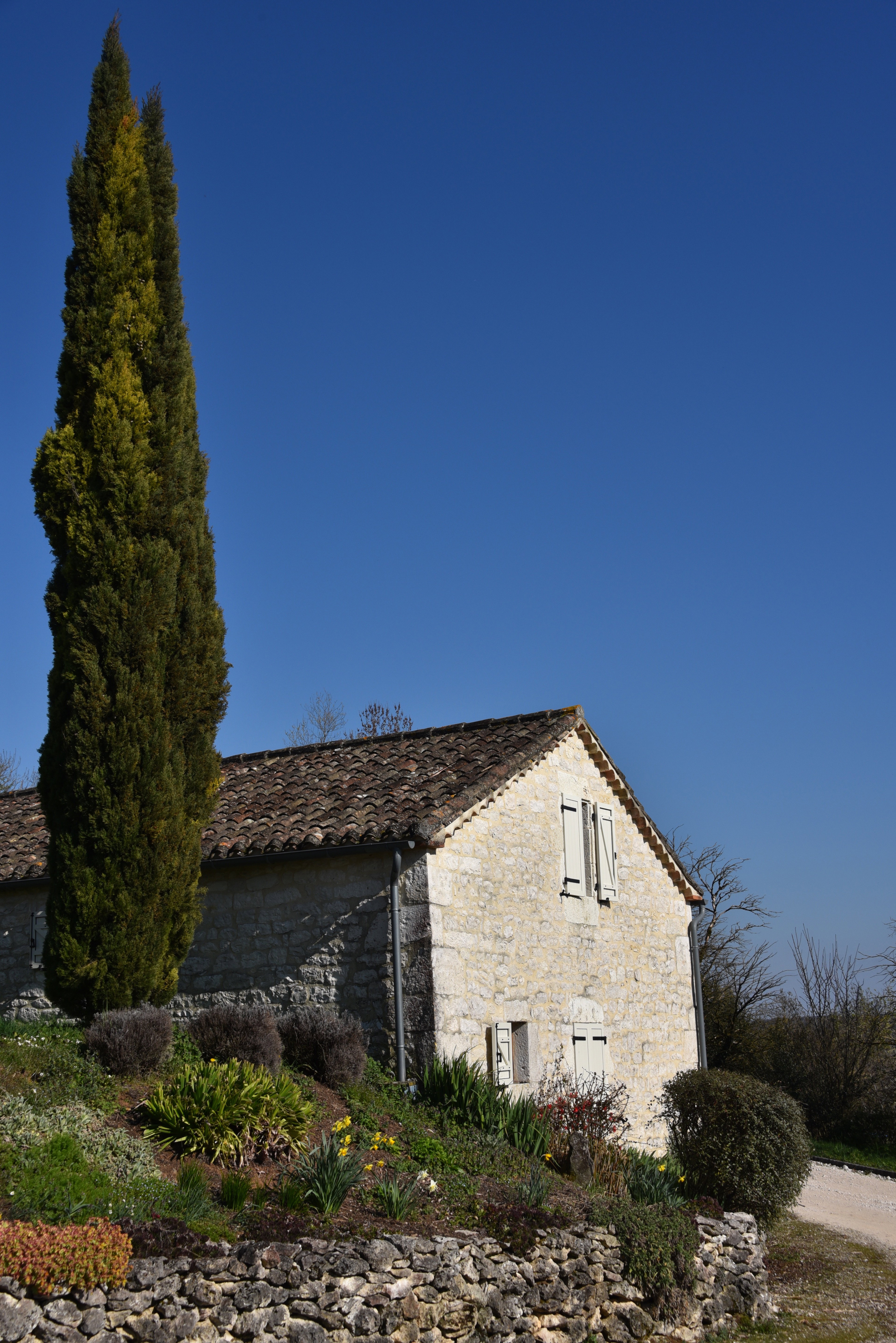 - image: 19