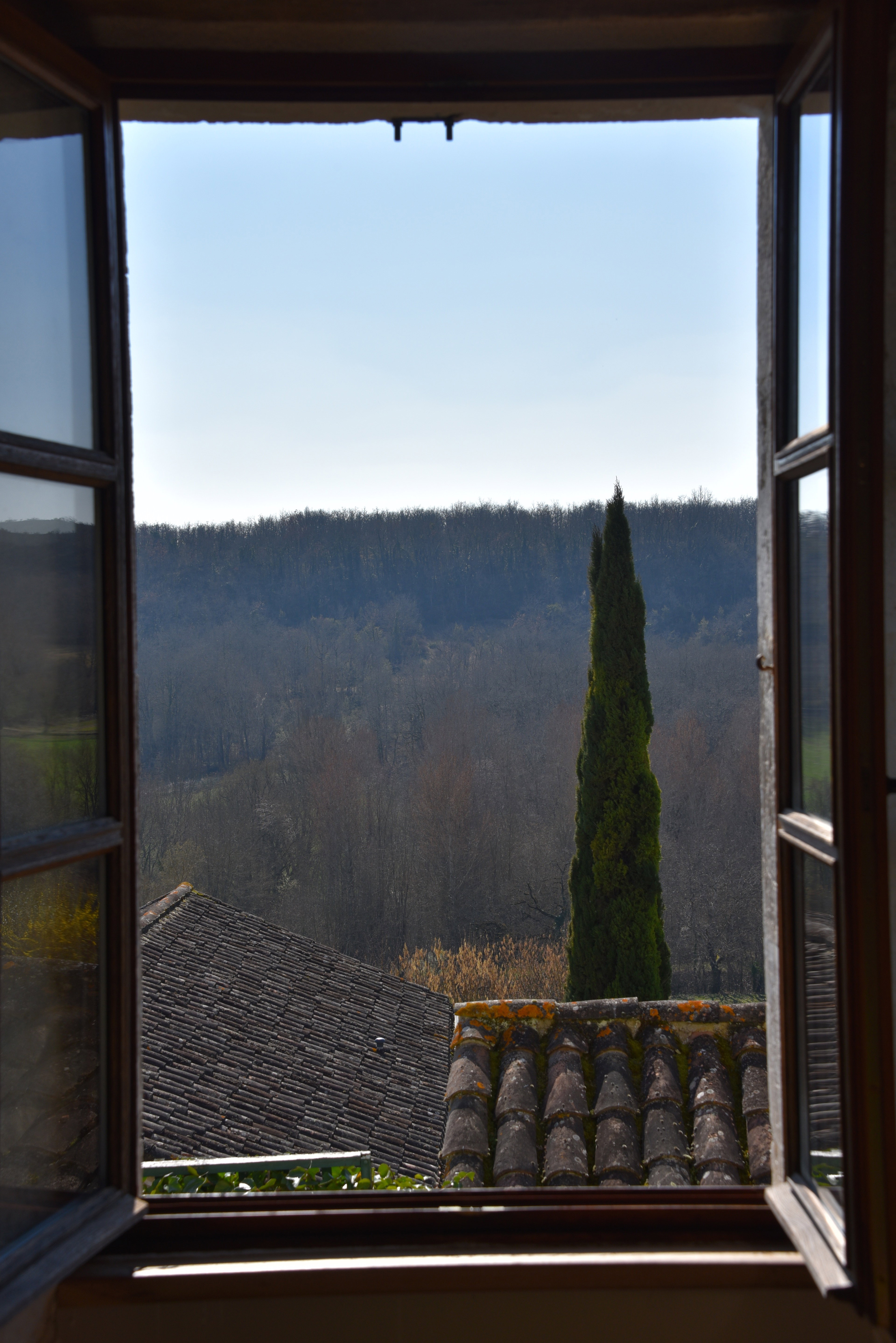 - image: 11