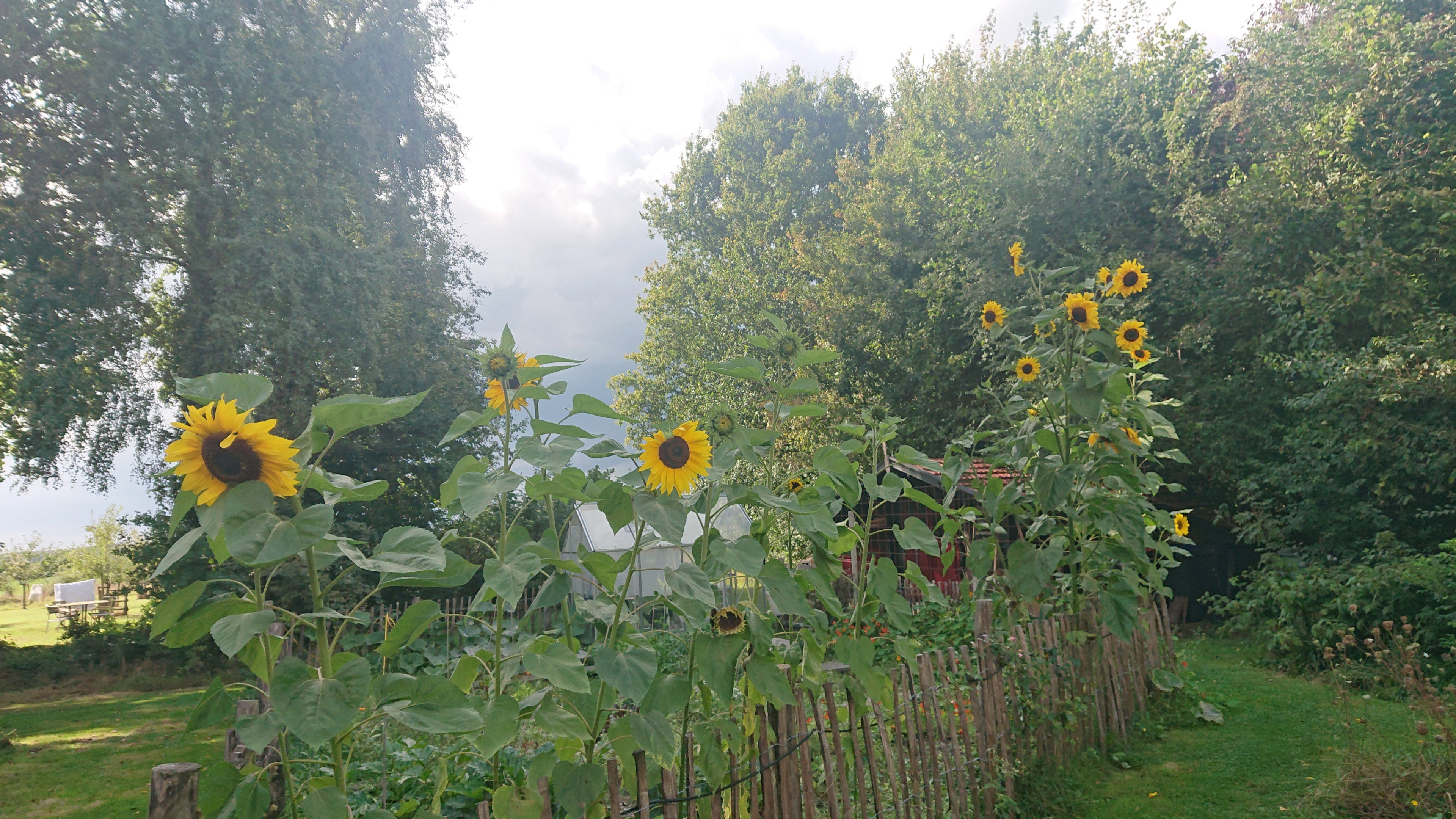 Natuurhuisje in Hellendoorn