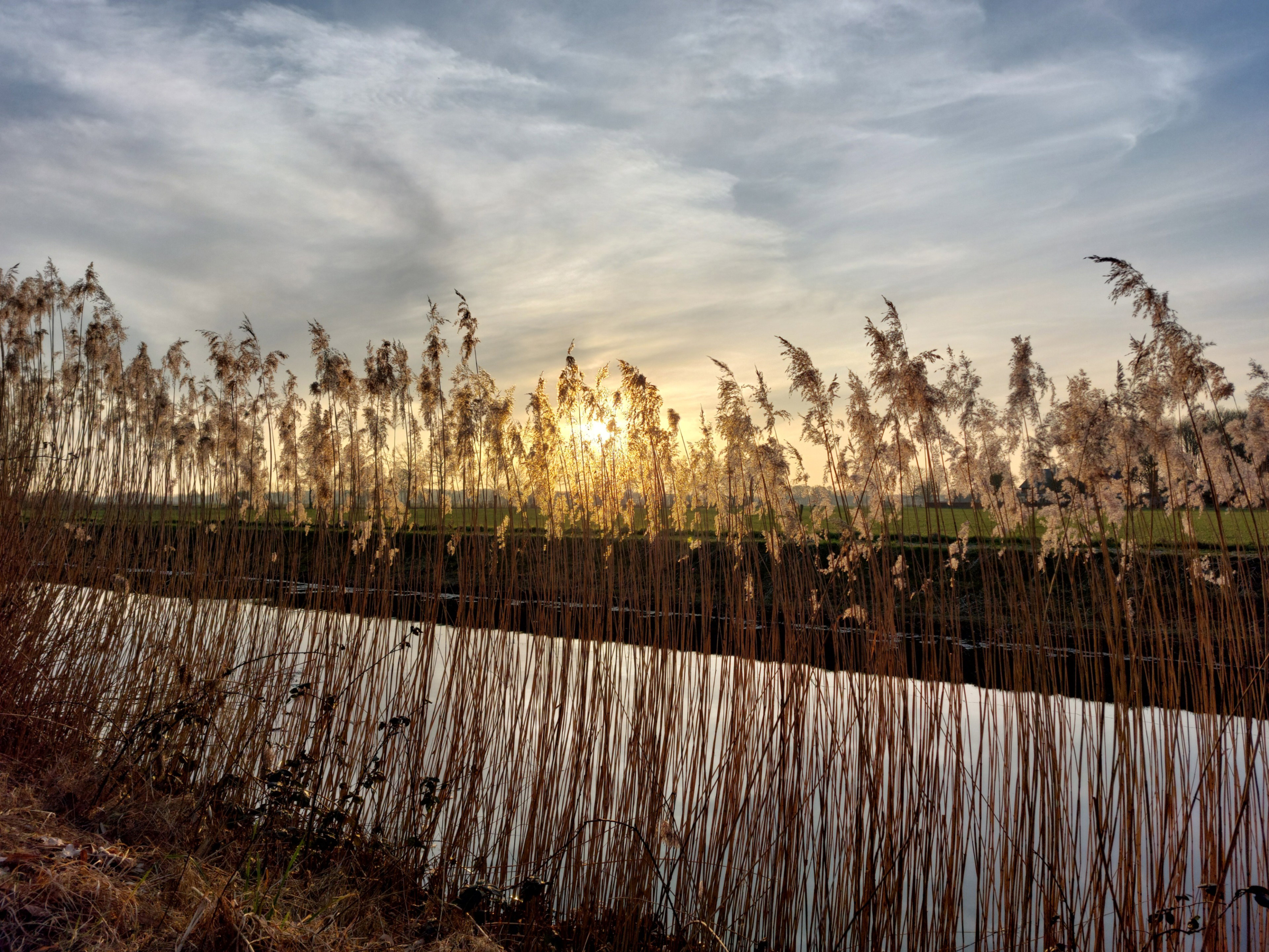 Naturhäuschen in Hellendoorn