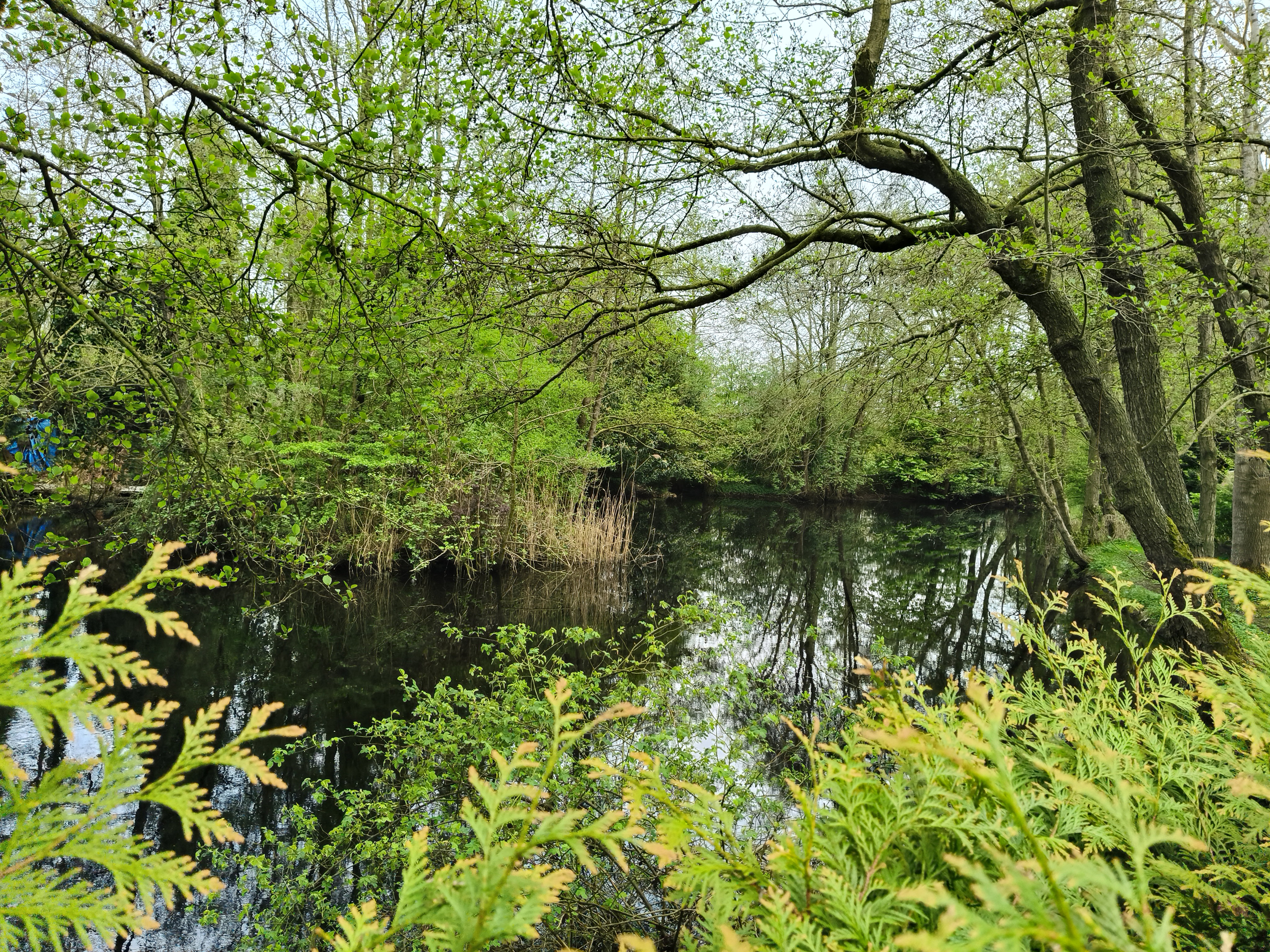 - image: 13