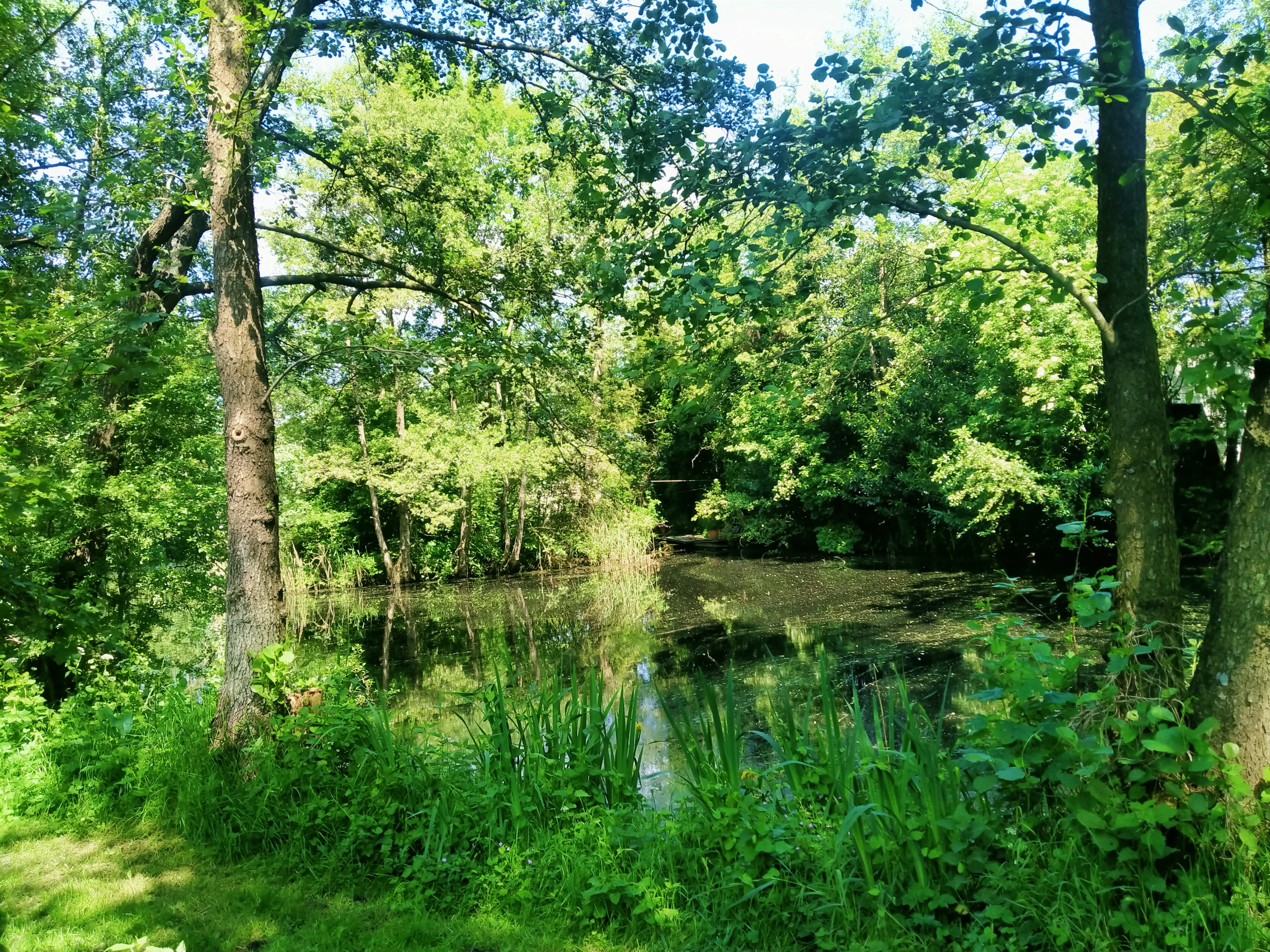 Maison nature à Kollumerzwaag