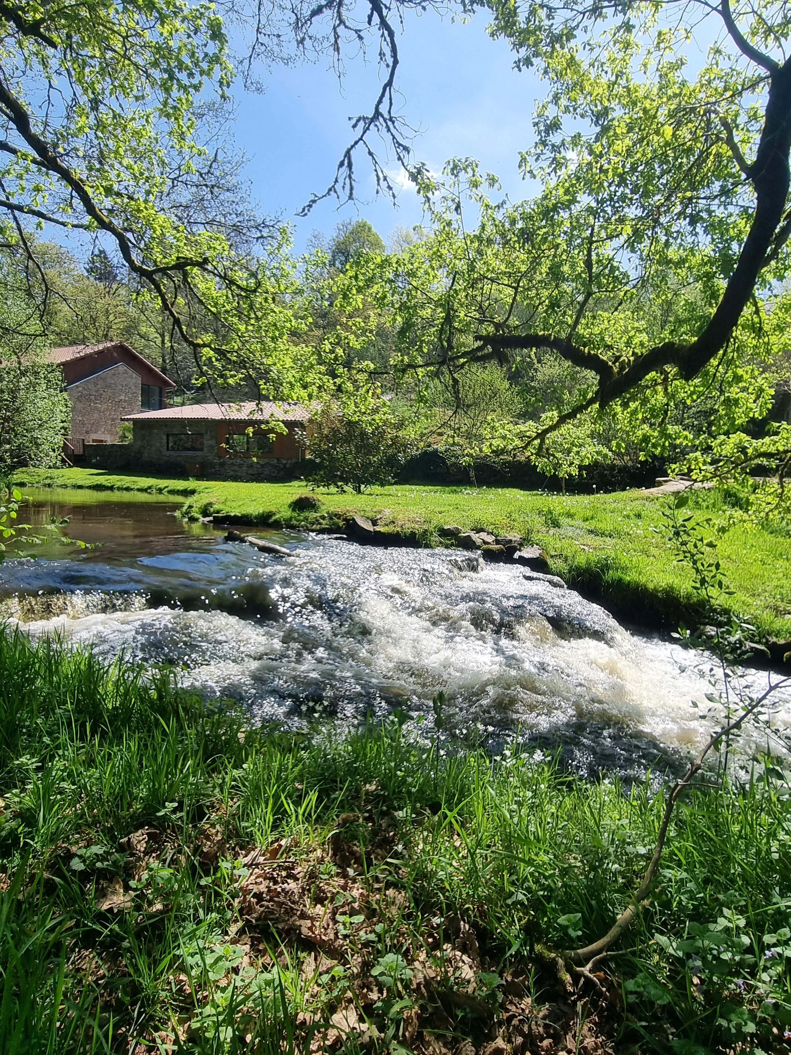 Maison nature à SAINT-GENCE