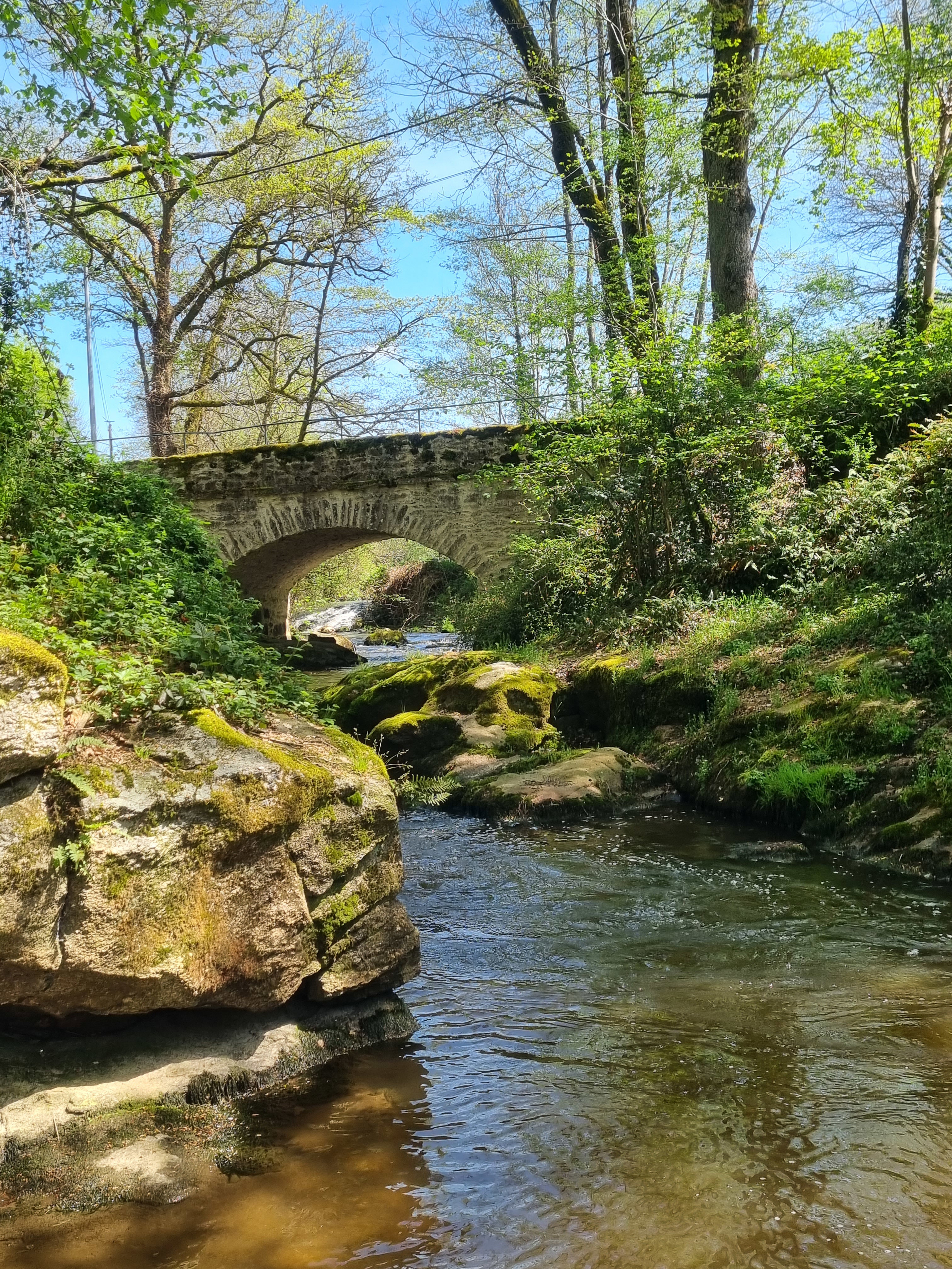 Maison nature à SAINT-GENCE