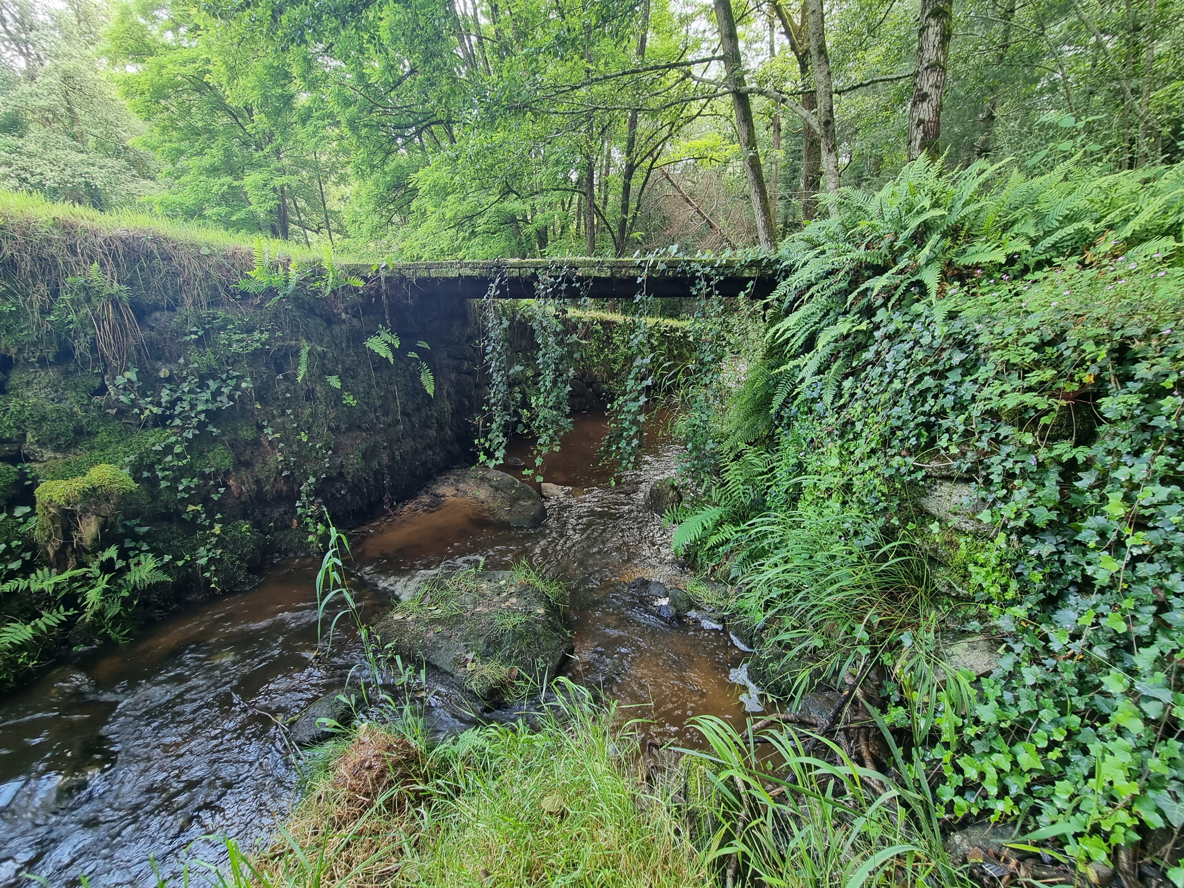 Maison nature à SAINT-GENCE