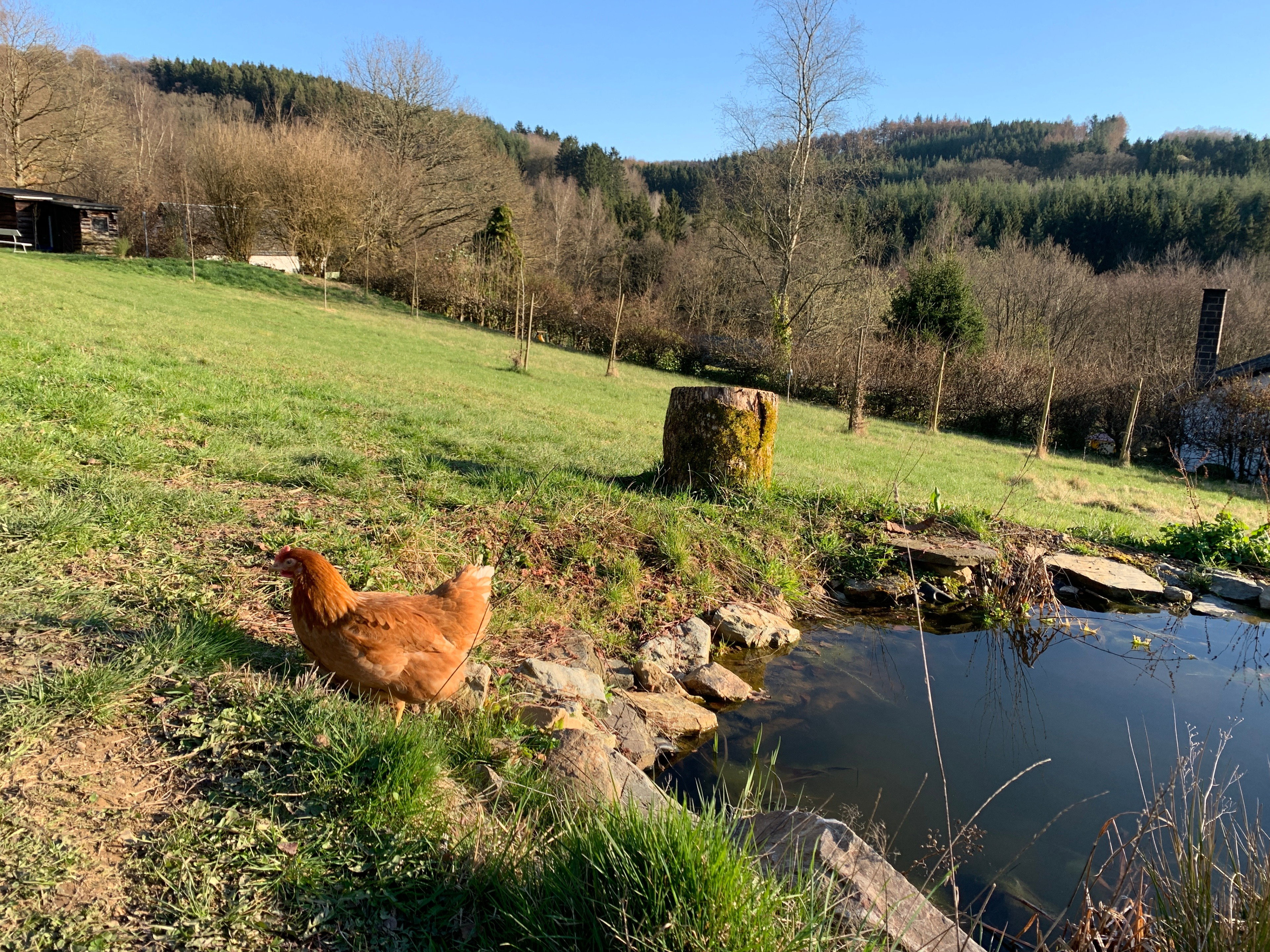Casa nella natura a Redu