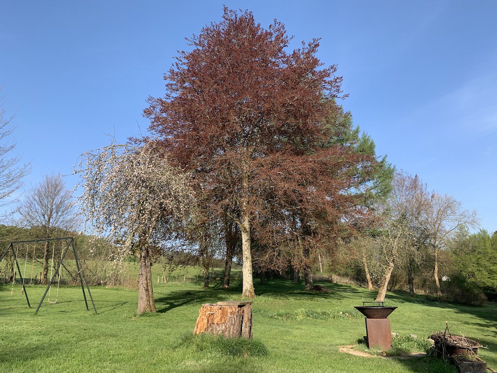 Casa nella natura a Redu