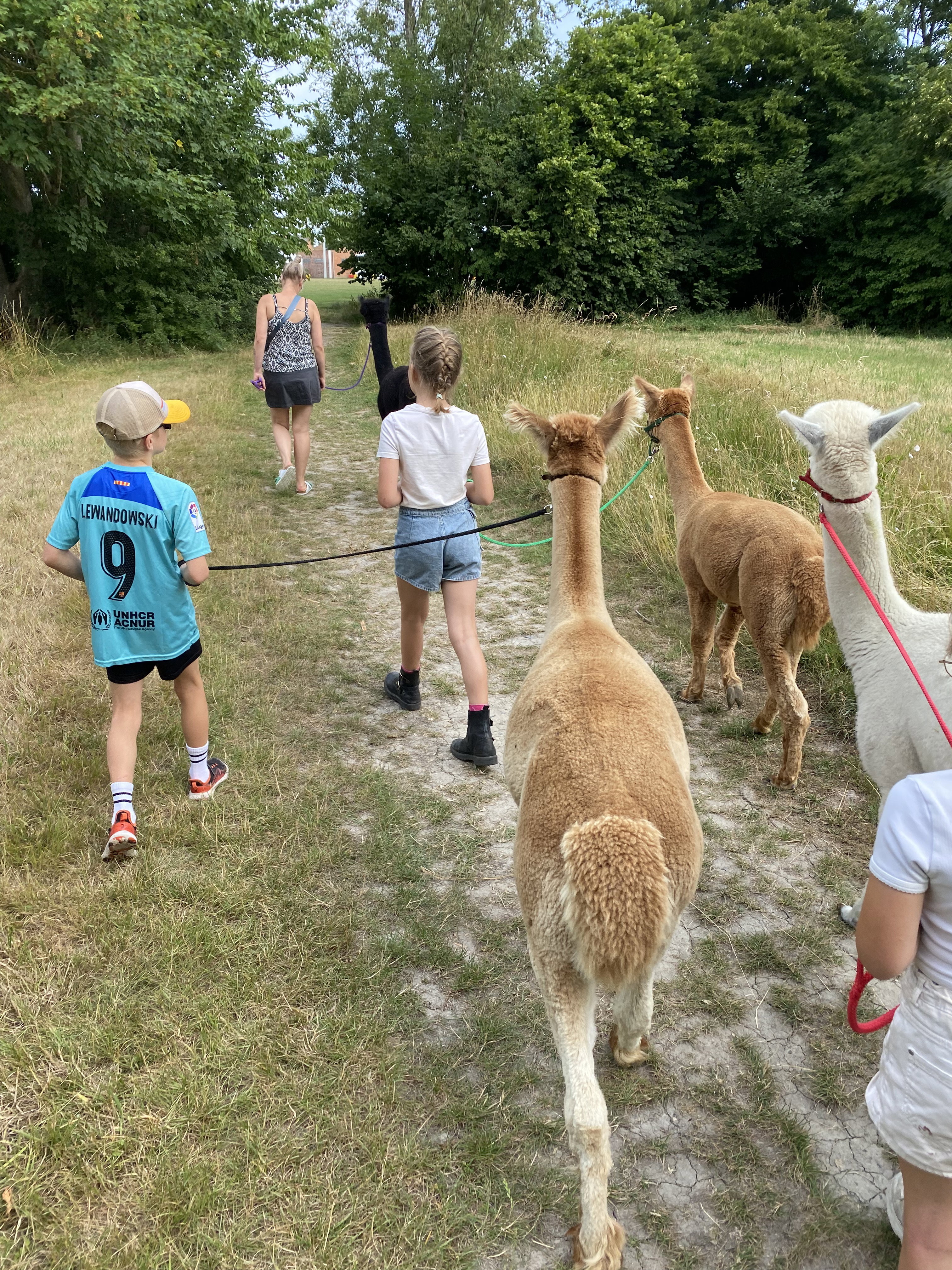 - image: 20