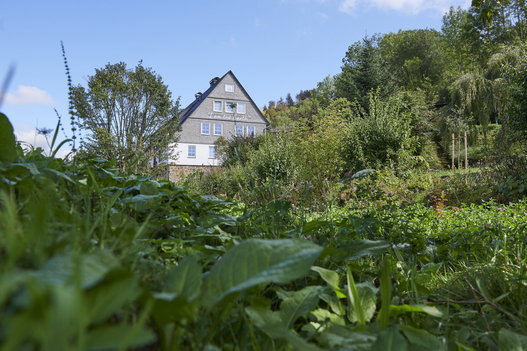 Natuurhuisje in Willingen Schwalefeld
