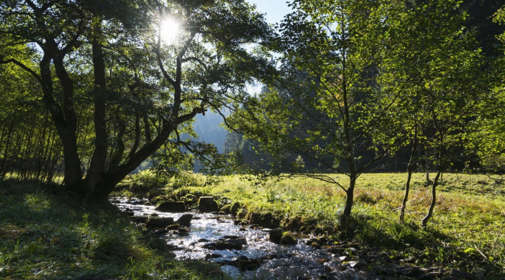 Natuurhuisje in Willingen Schwalefeld