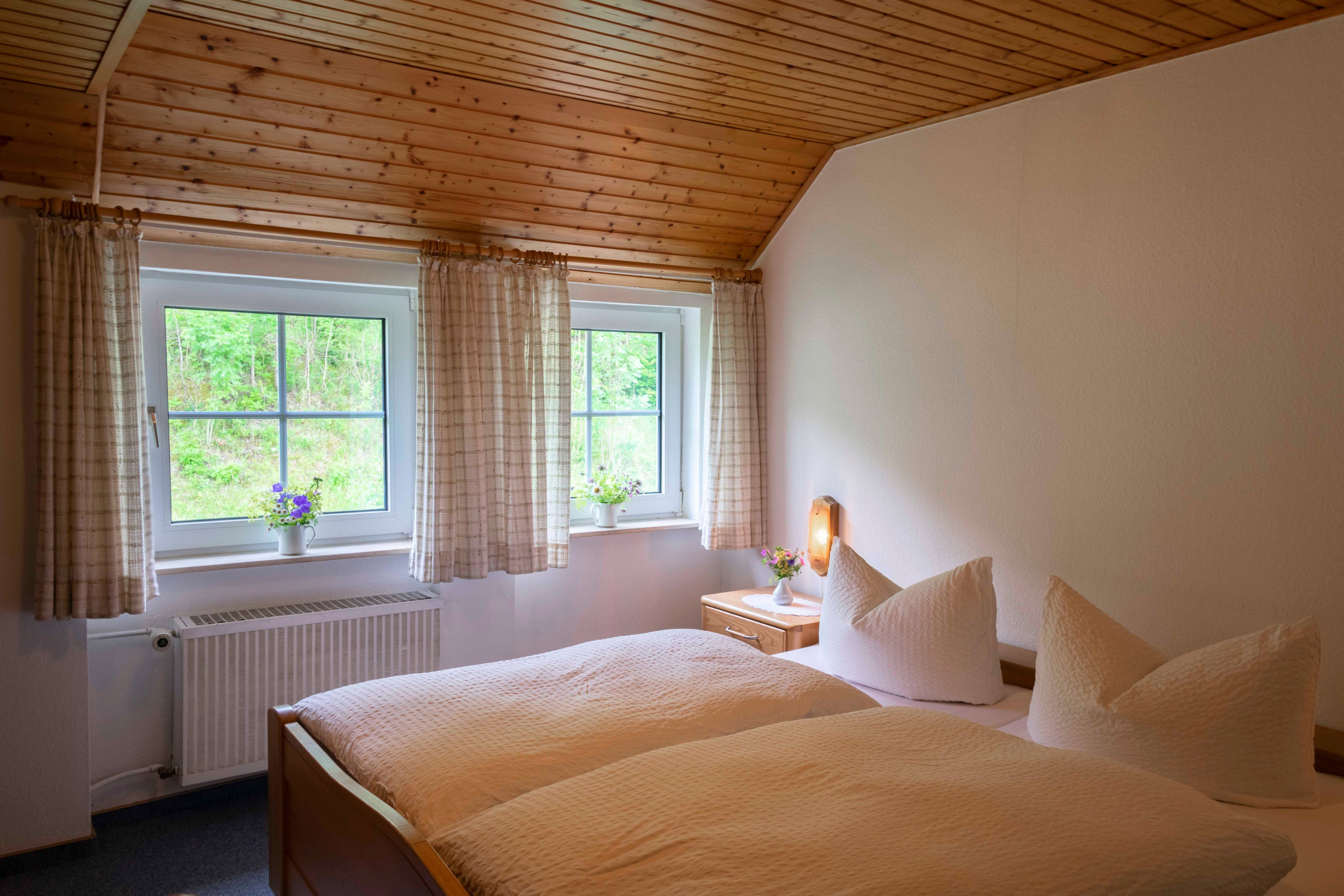 Natuurhuisje in Willingen Schwalefeld