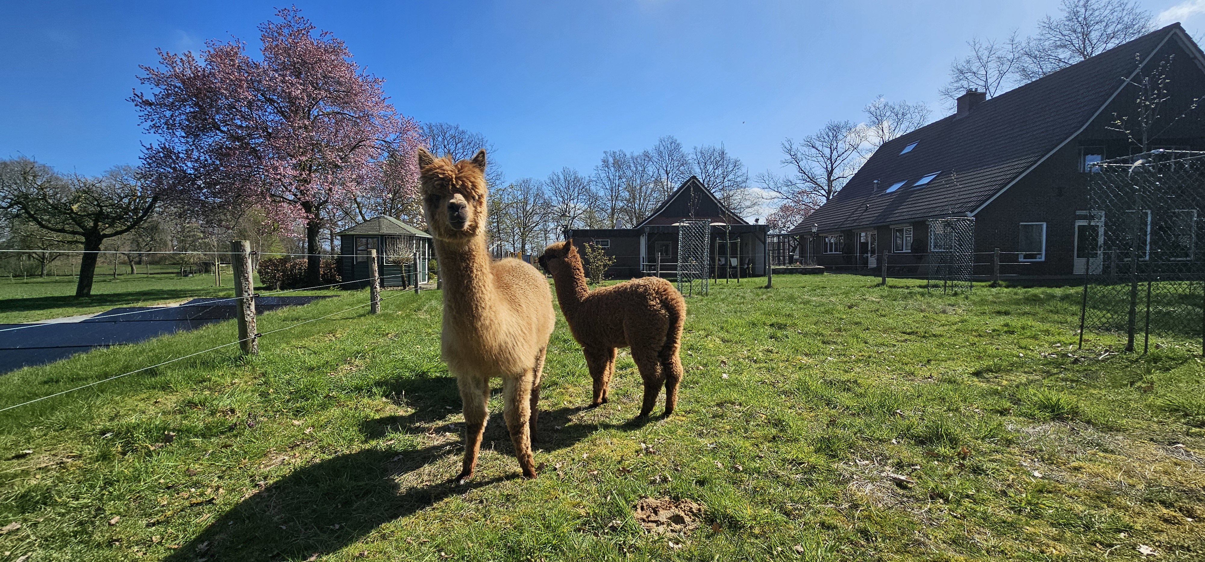 Casa nella natura a Tilligte