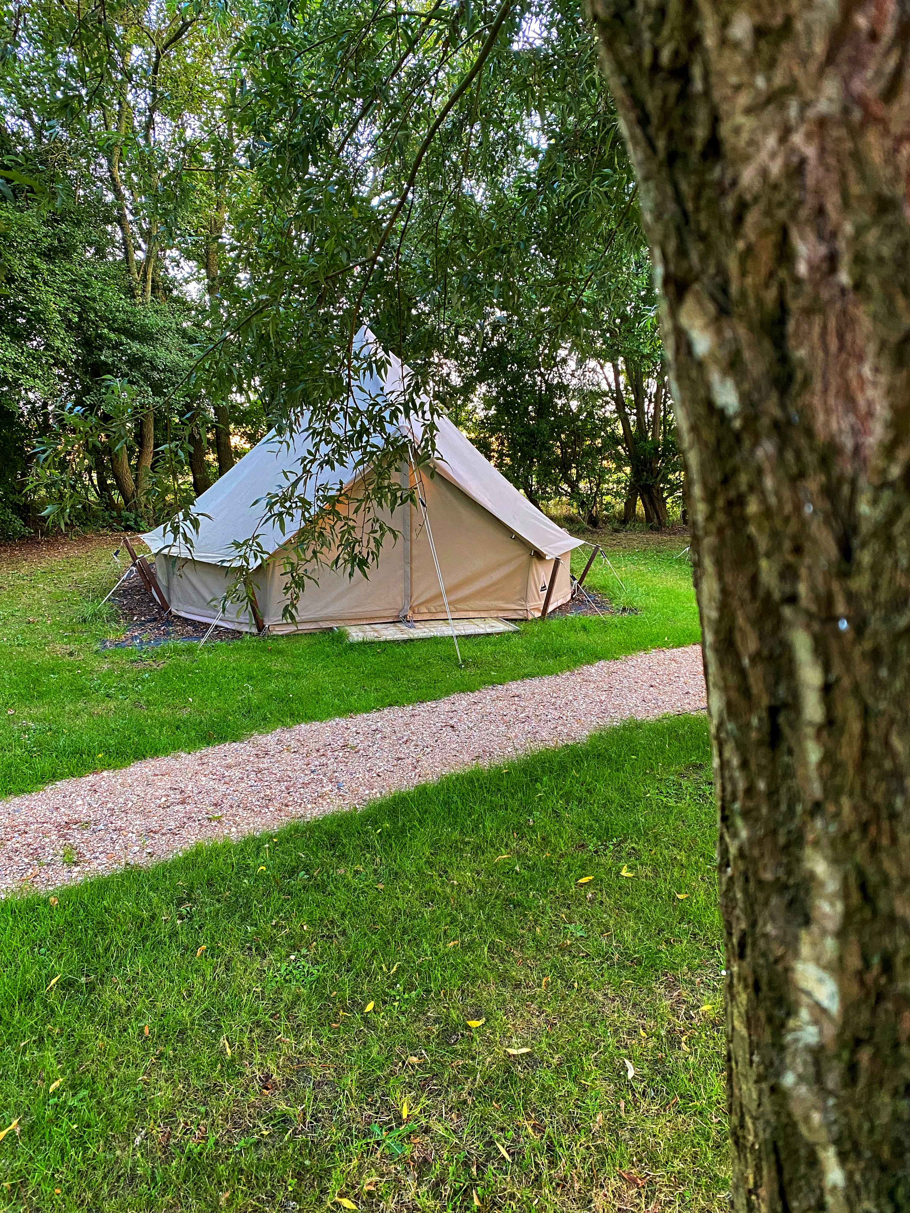 Natuurhuisje in Wolphaartsdijk