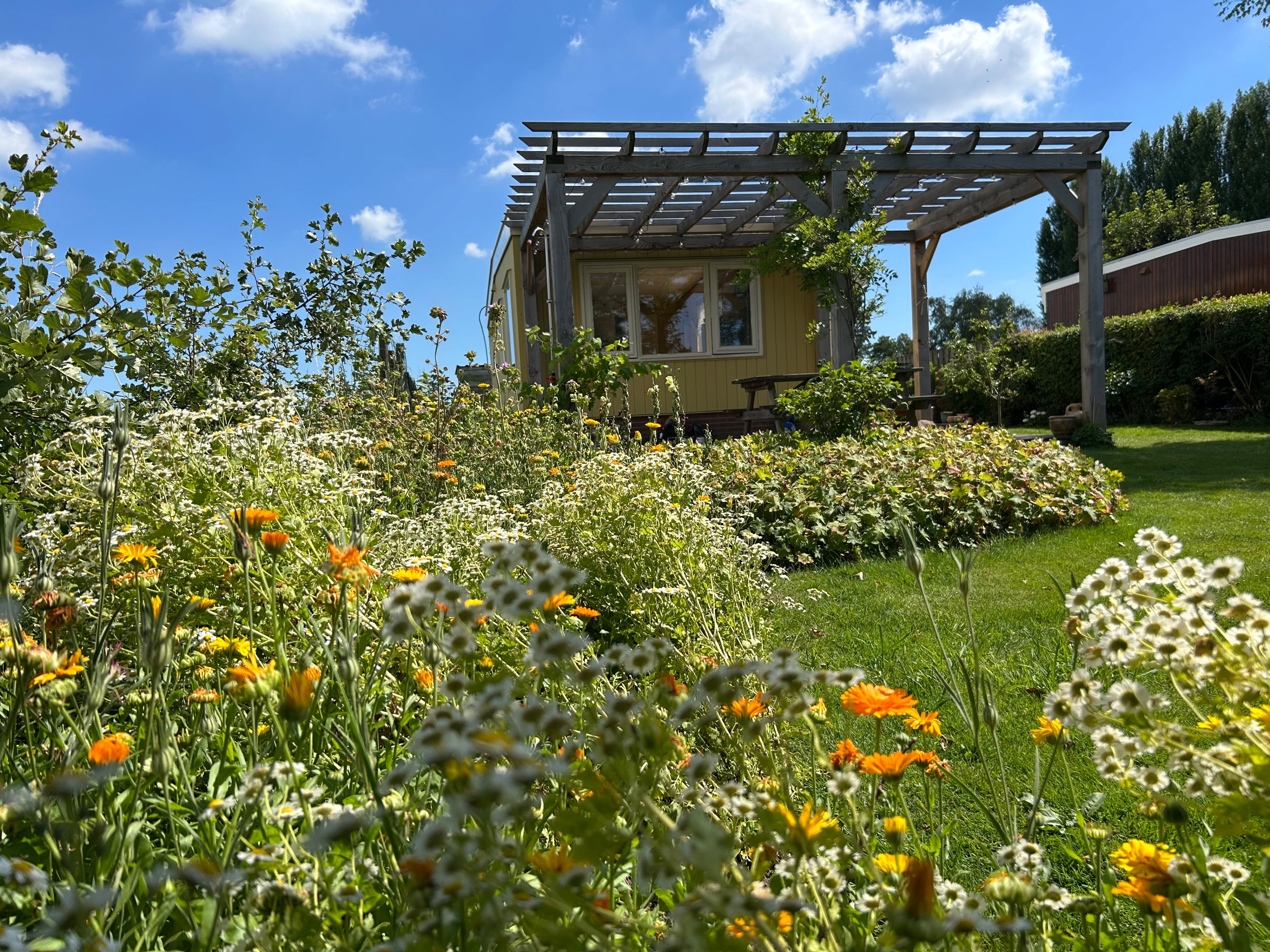 Casa nella natura a IJsselmuiden